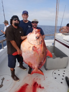 aug 16-21 opah