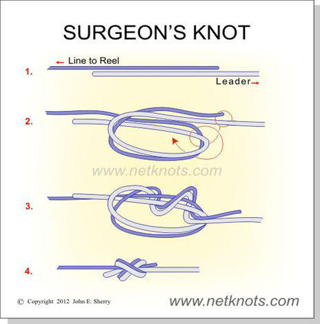 Surgeons knot - SearcherSportfishing.com