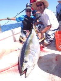 3D70AEE6-31F1-47FB-8747-CC767BFB34A1_1_105_c-200×267