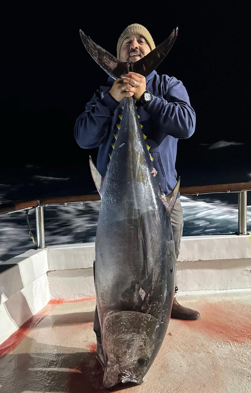 Big bluefin