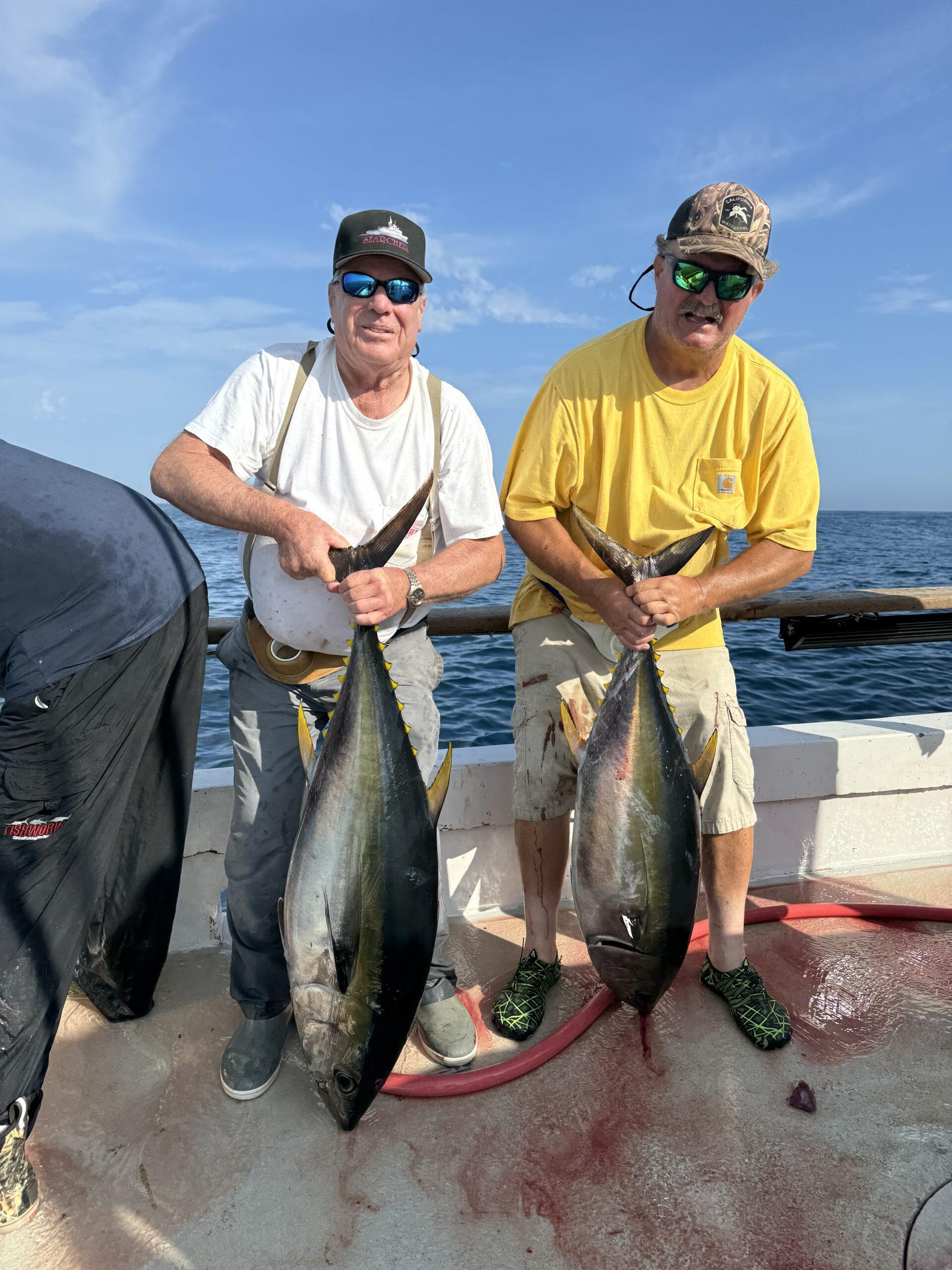 Yellowfin Tuna