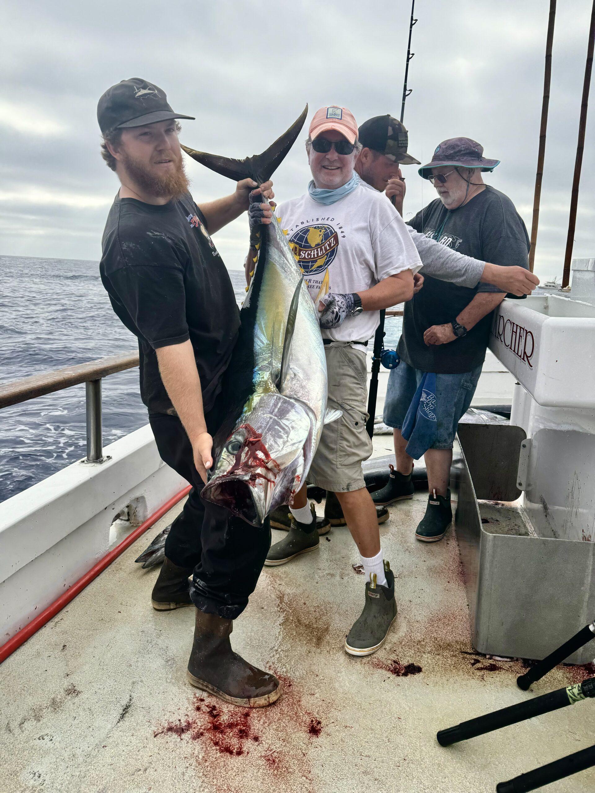 Yellowfin tuna