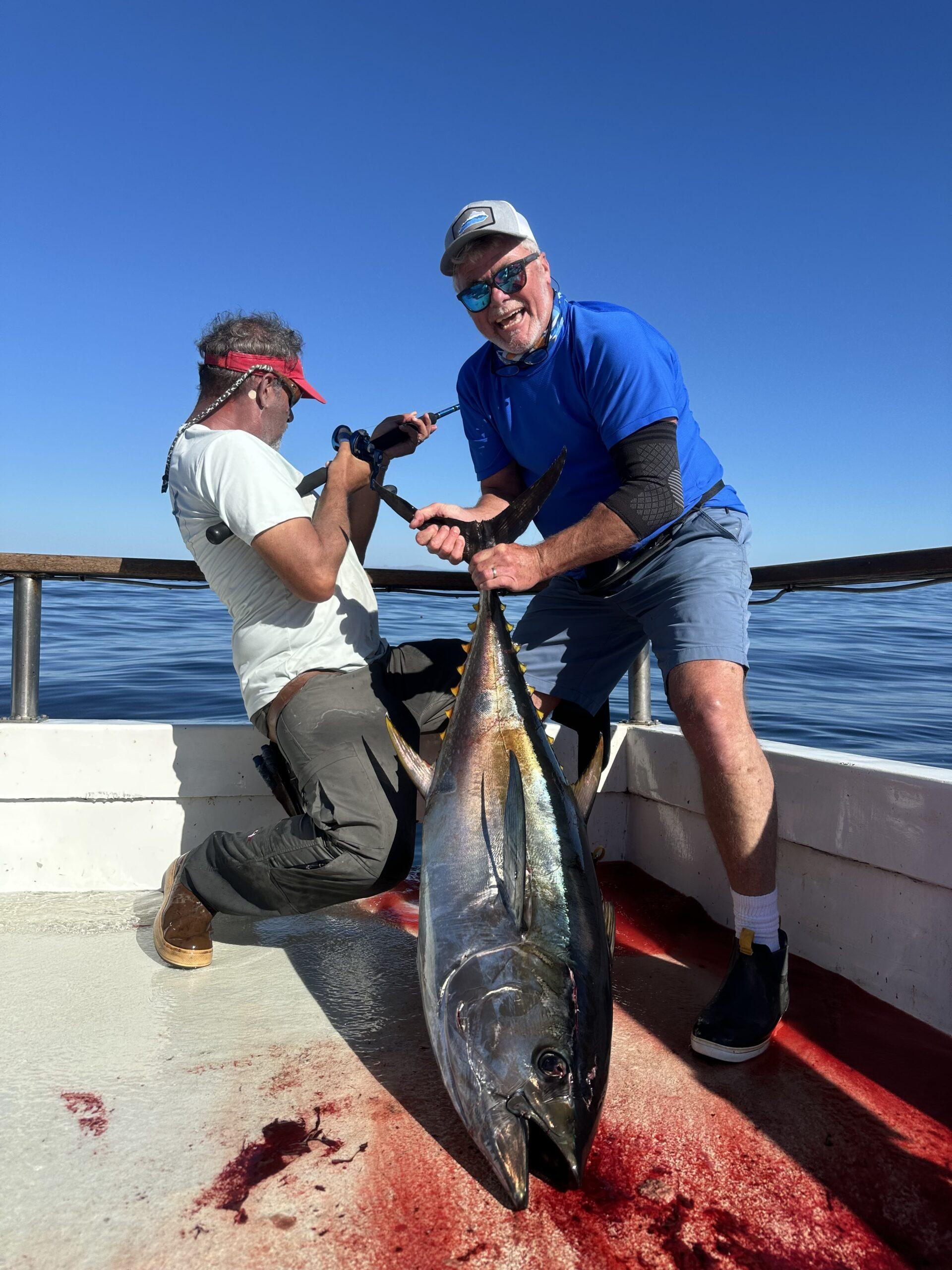 Yellowfin Tuna