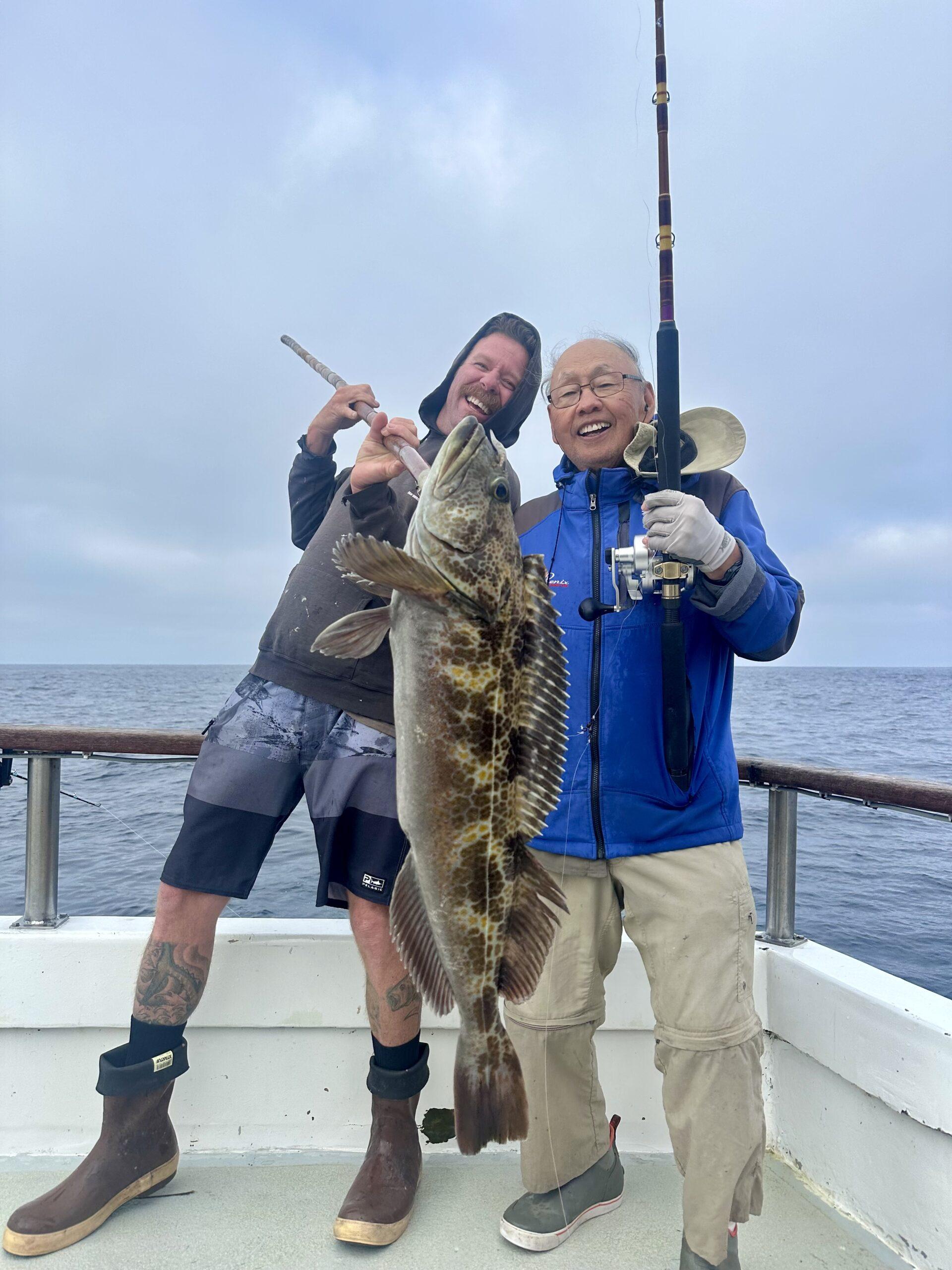 Lingcod