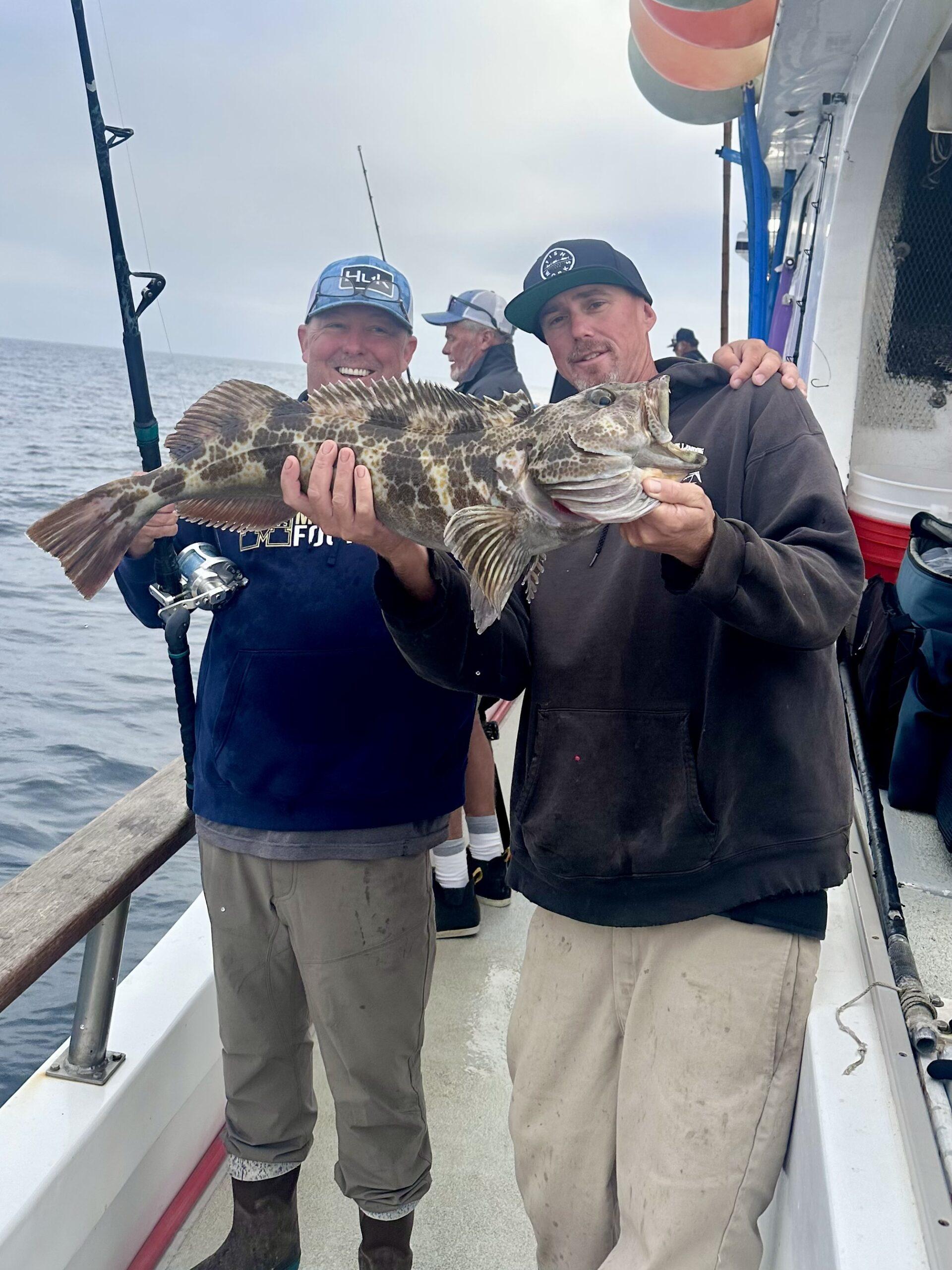 Lingcod