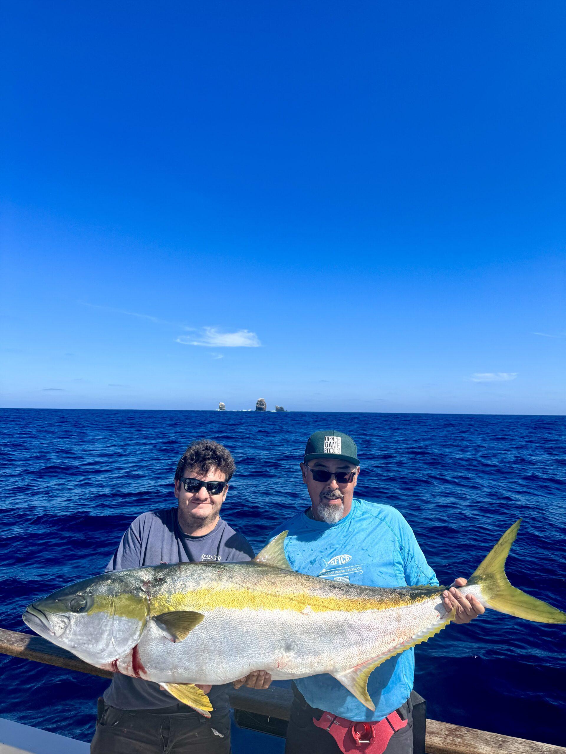 Yellowtail