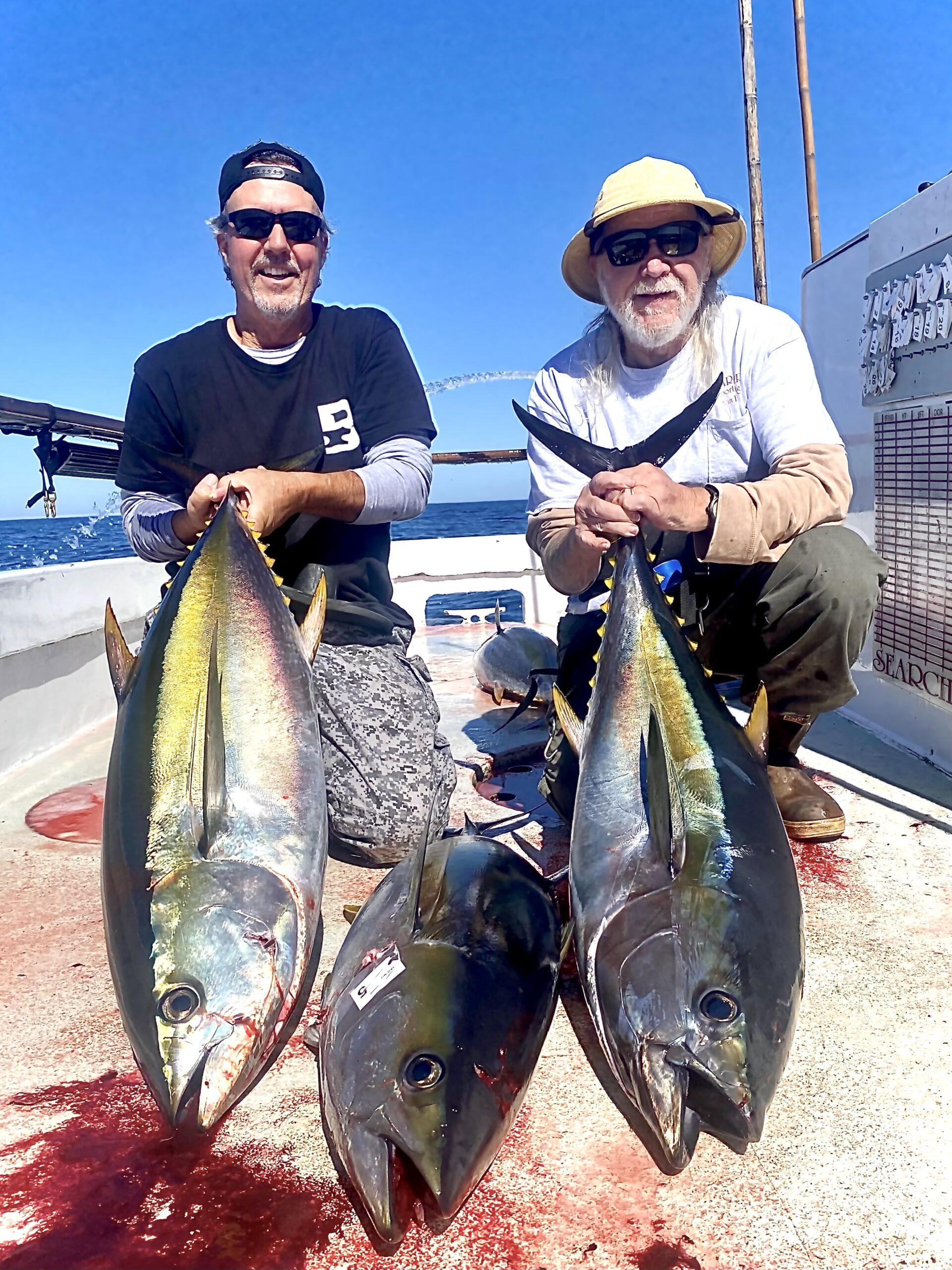 Yellowfin Tuna