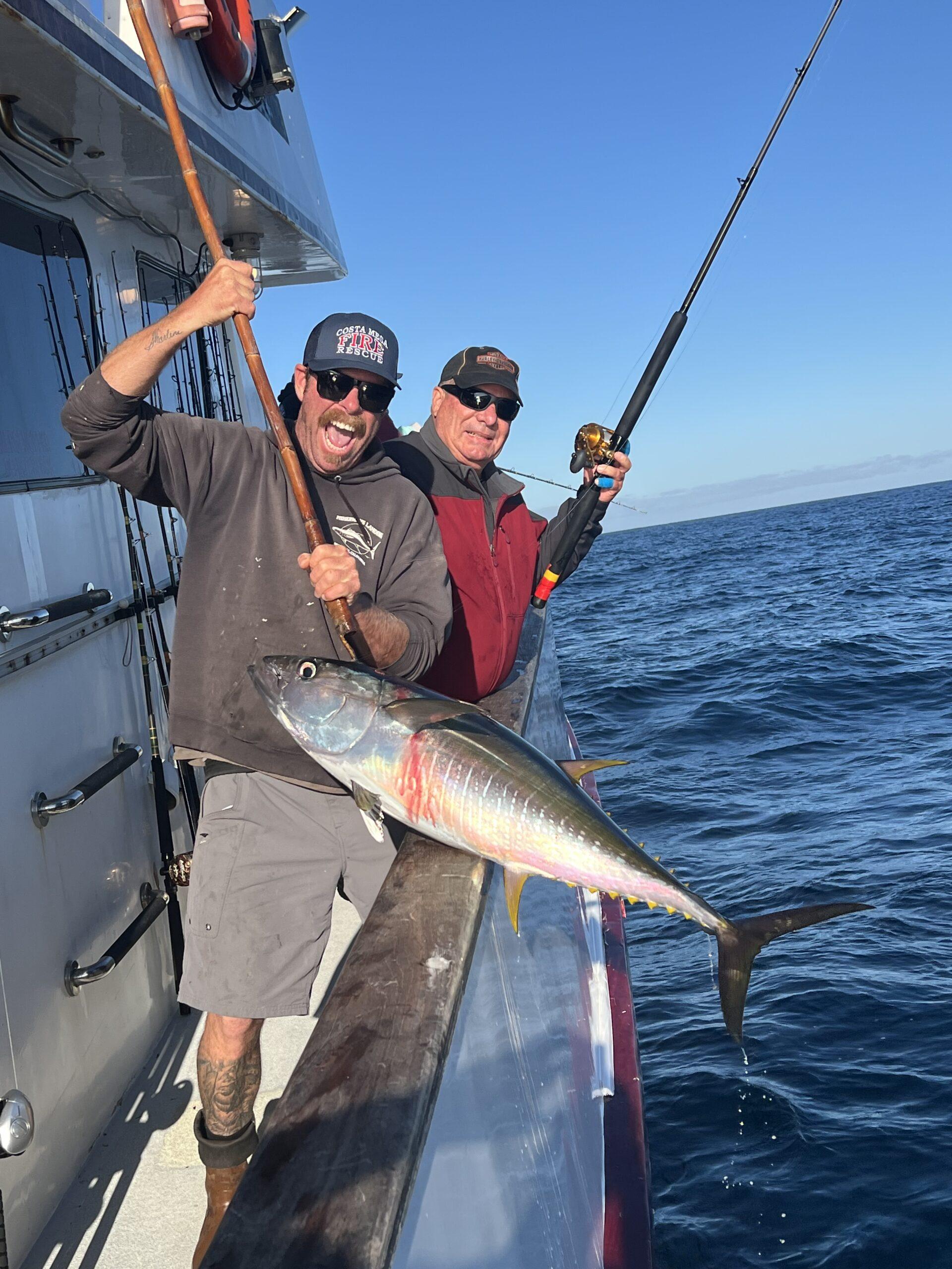 Yellowfin Tuna