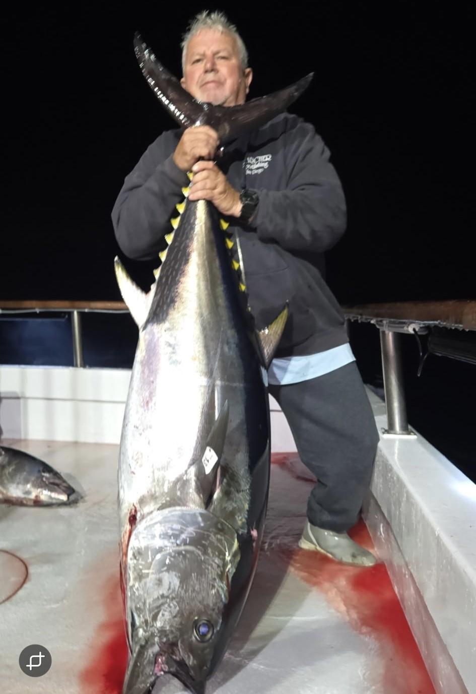 Nighttime Bluefin Fishing Nighttime Bluefin Fishing