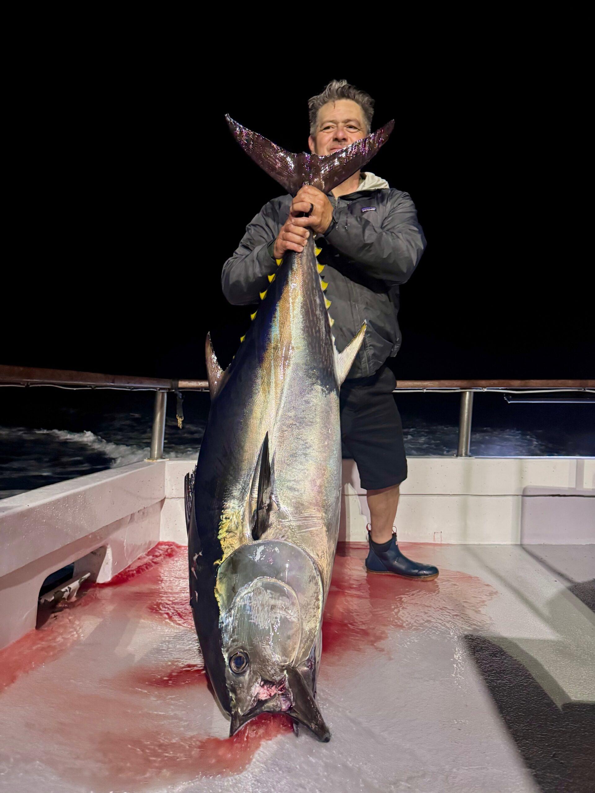 Bluefin