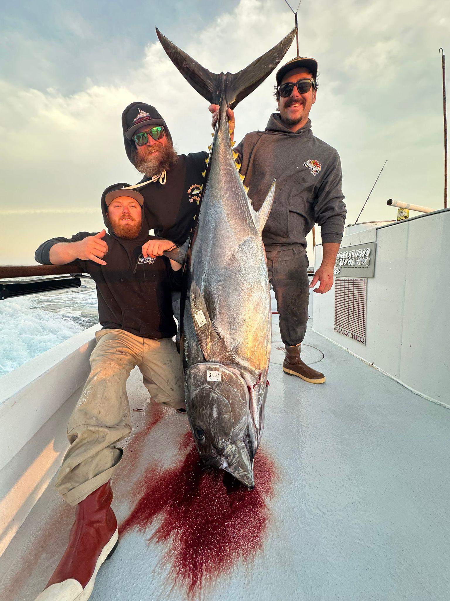 IMG-20250511-WA0005 Bluefin Fishing with Rich Denio and the Searcher Crew