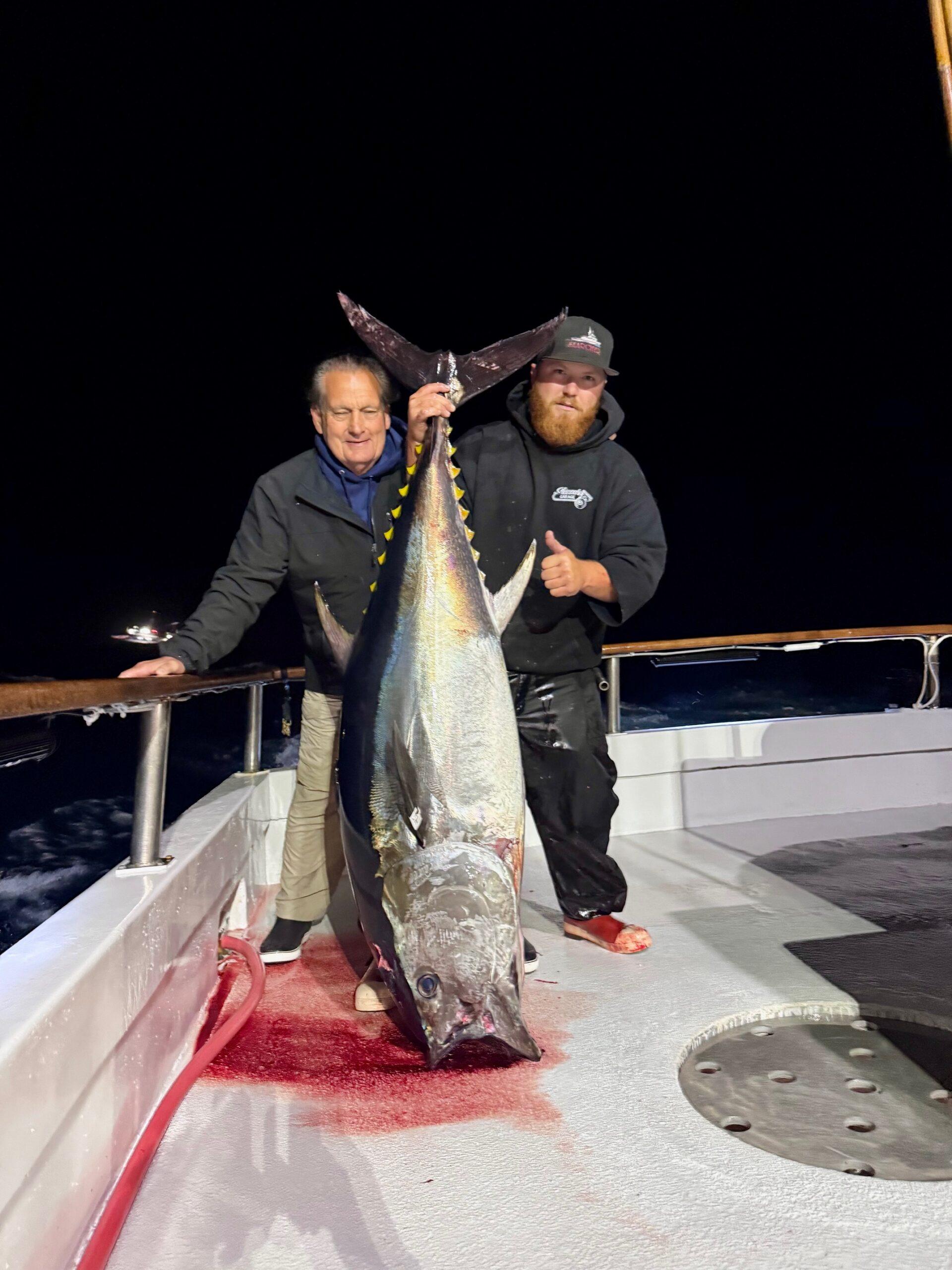 Bluefin Fishing Bluefin Fishing
