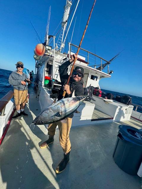Mike Bluefin Mike Bluefin