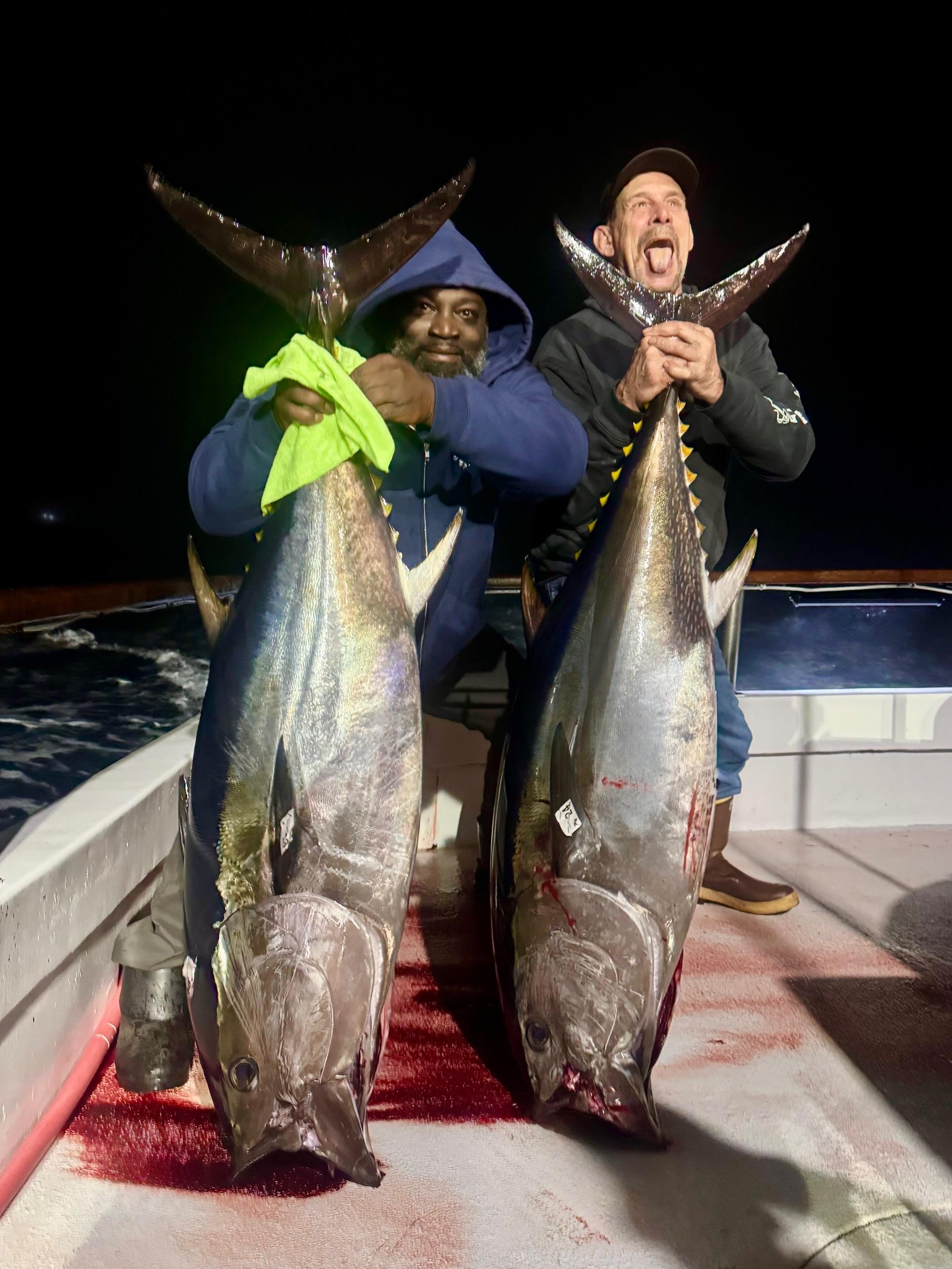 Two Bluefin