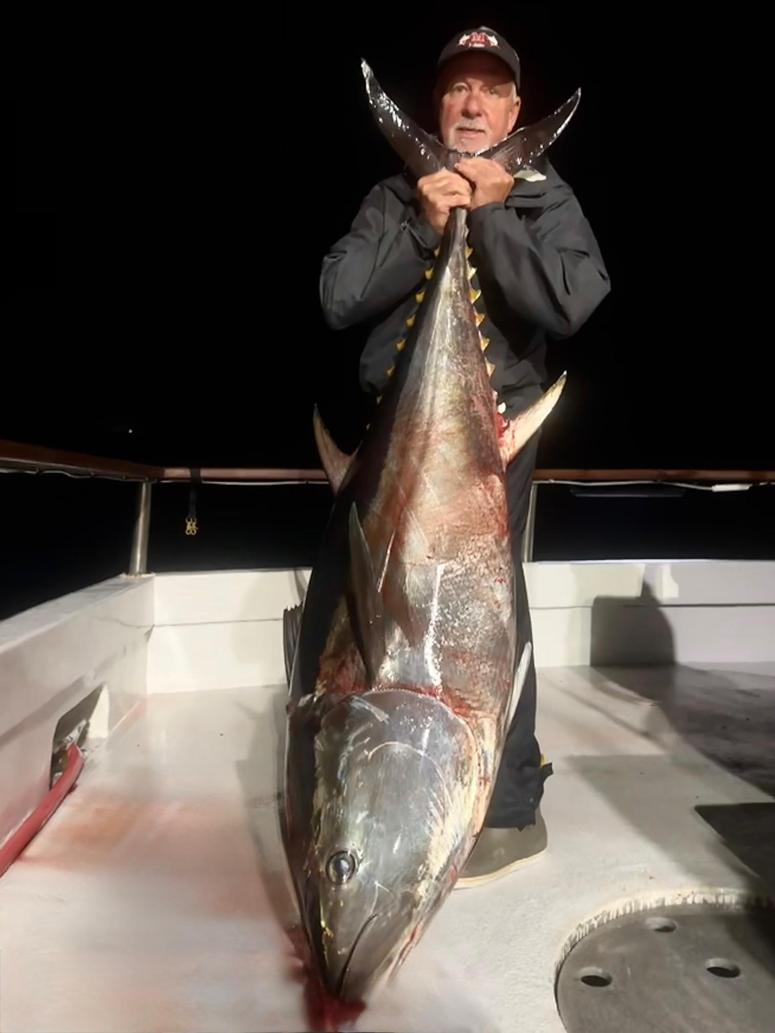 Big bluefin Big bluefin