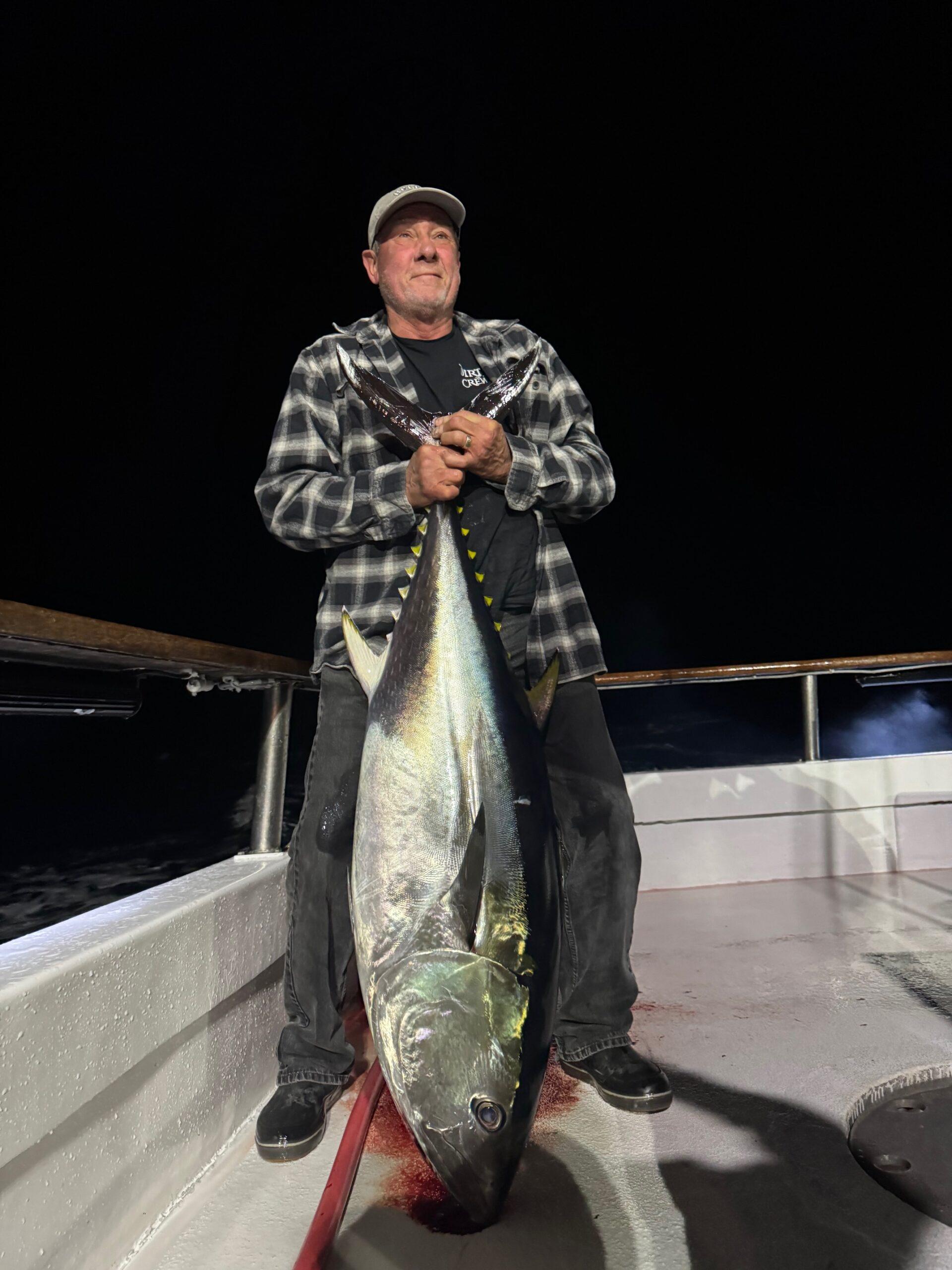 Bluefin Bluefin