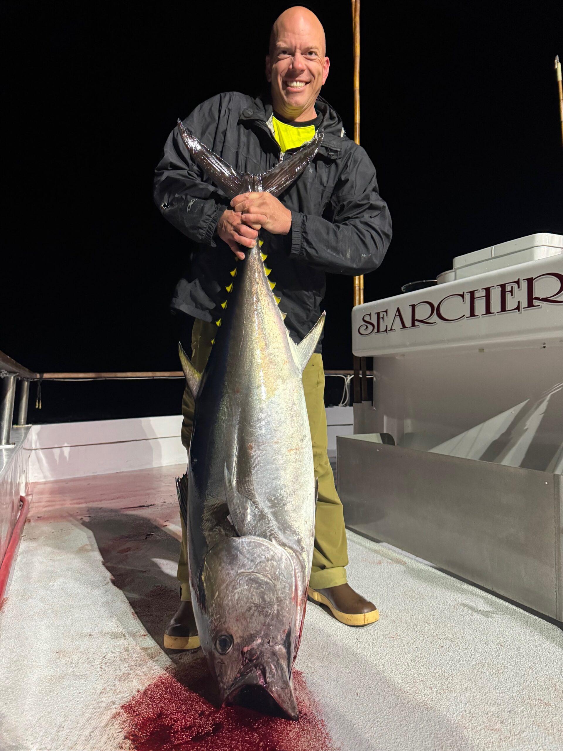Bluefin Bluefin