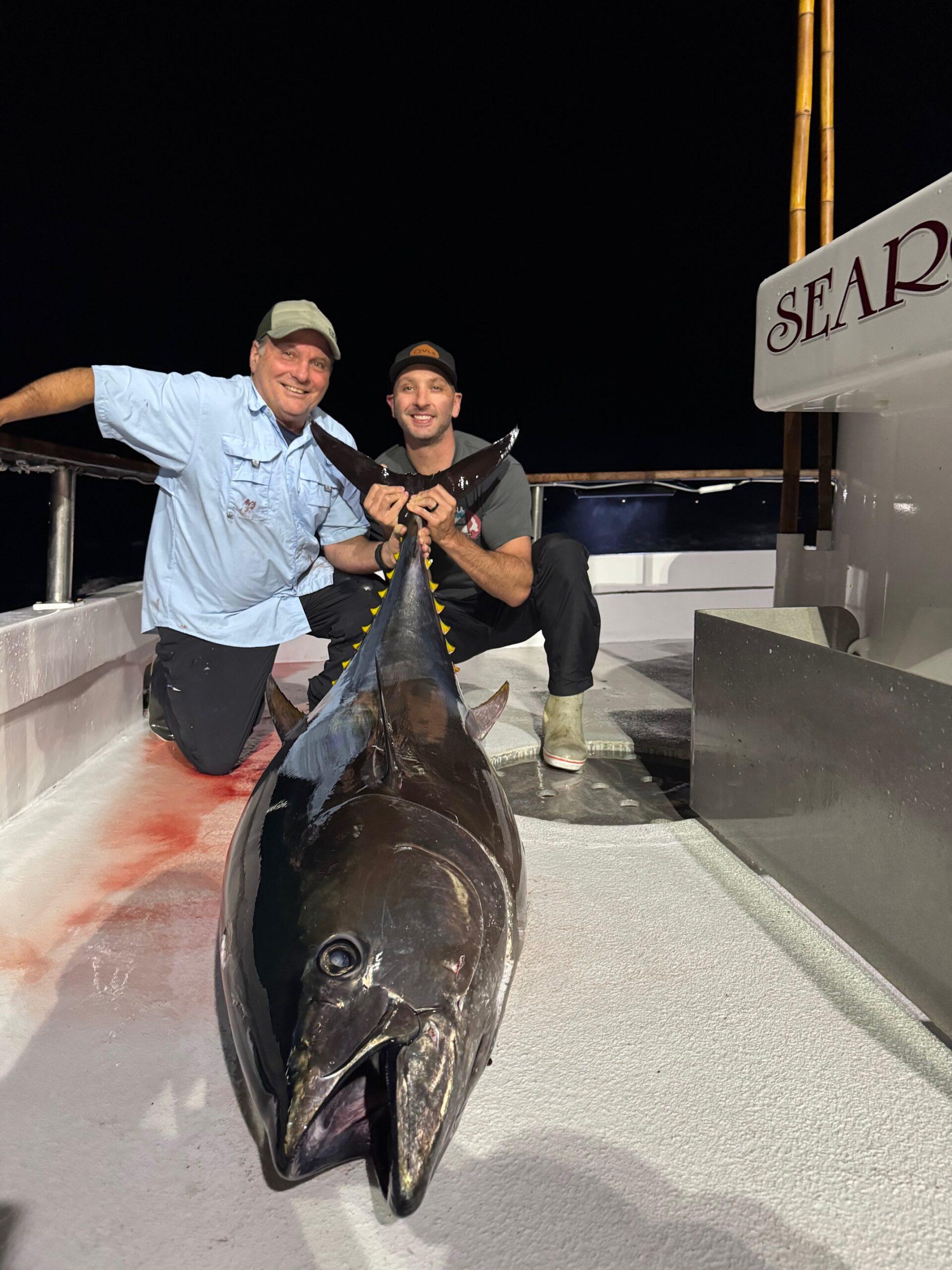 Bluefin Bluefin