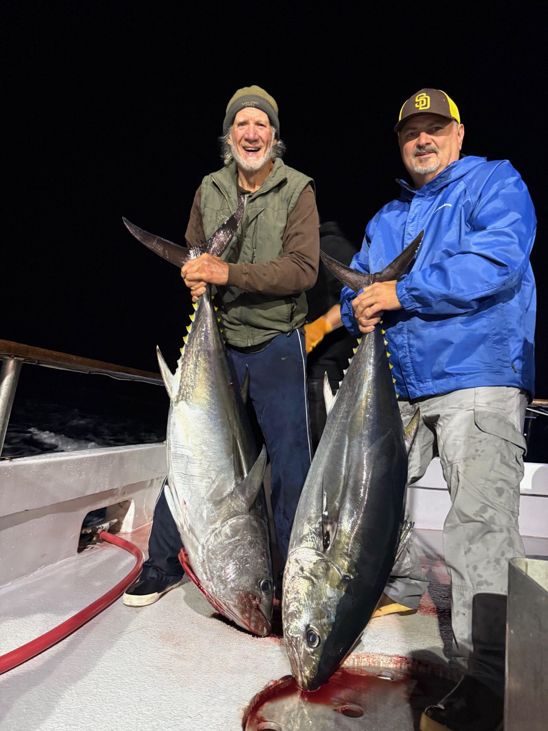 Bluefin Bluefin