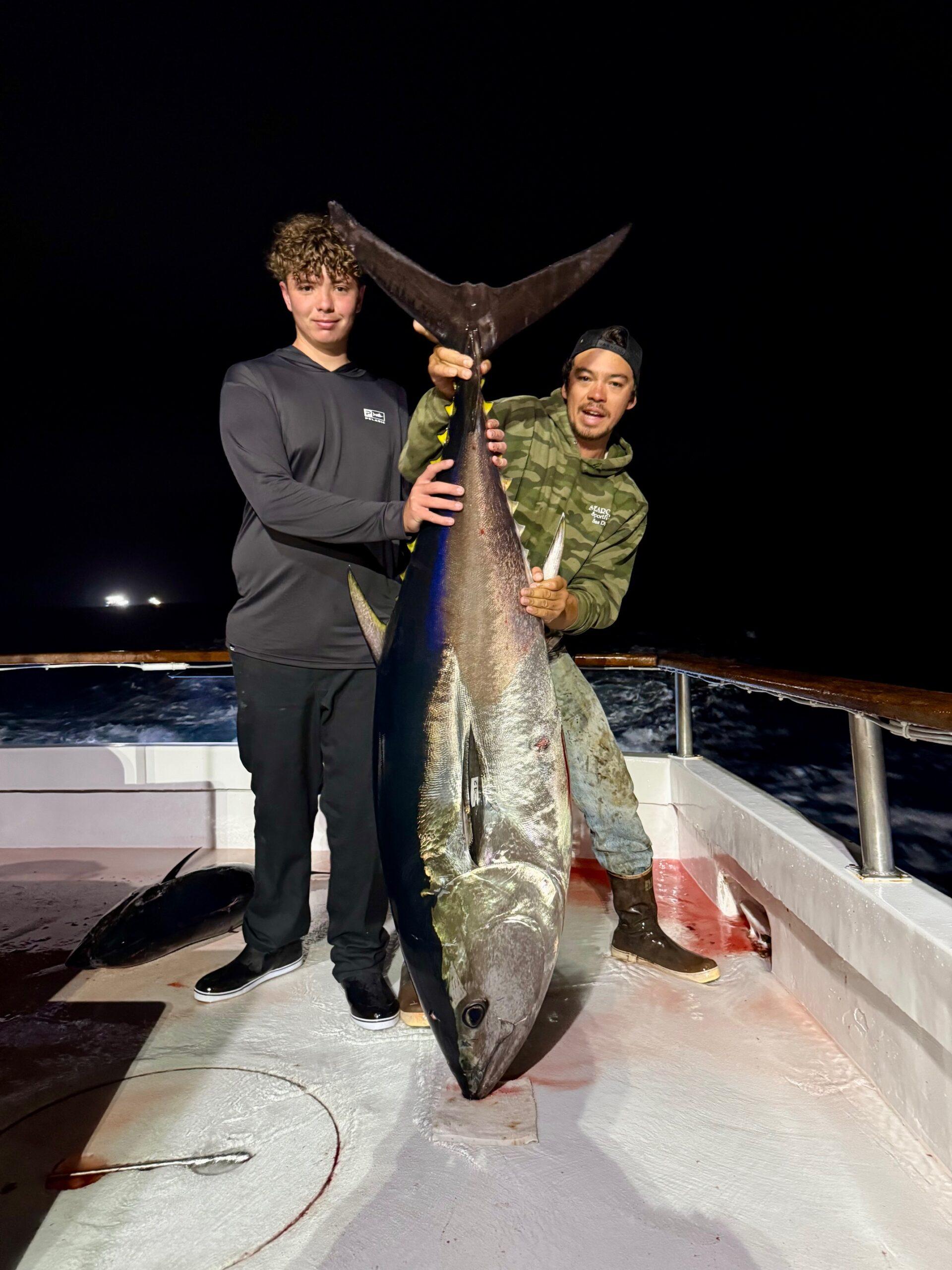 Bluefin Bluefin
