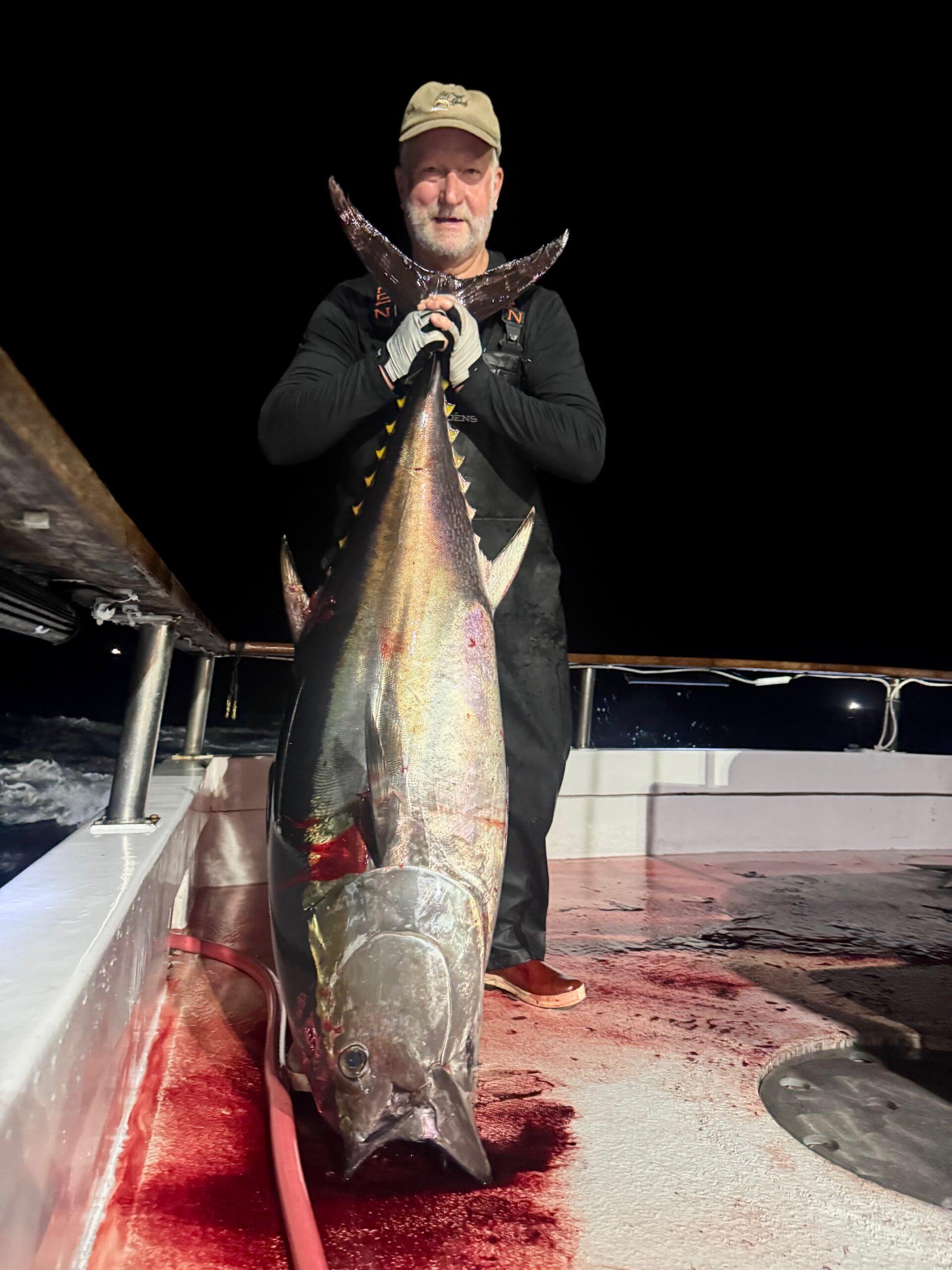 Bluefin