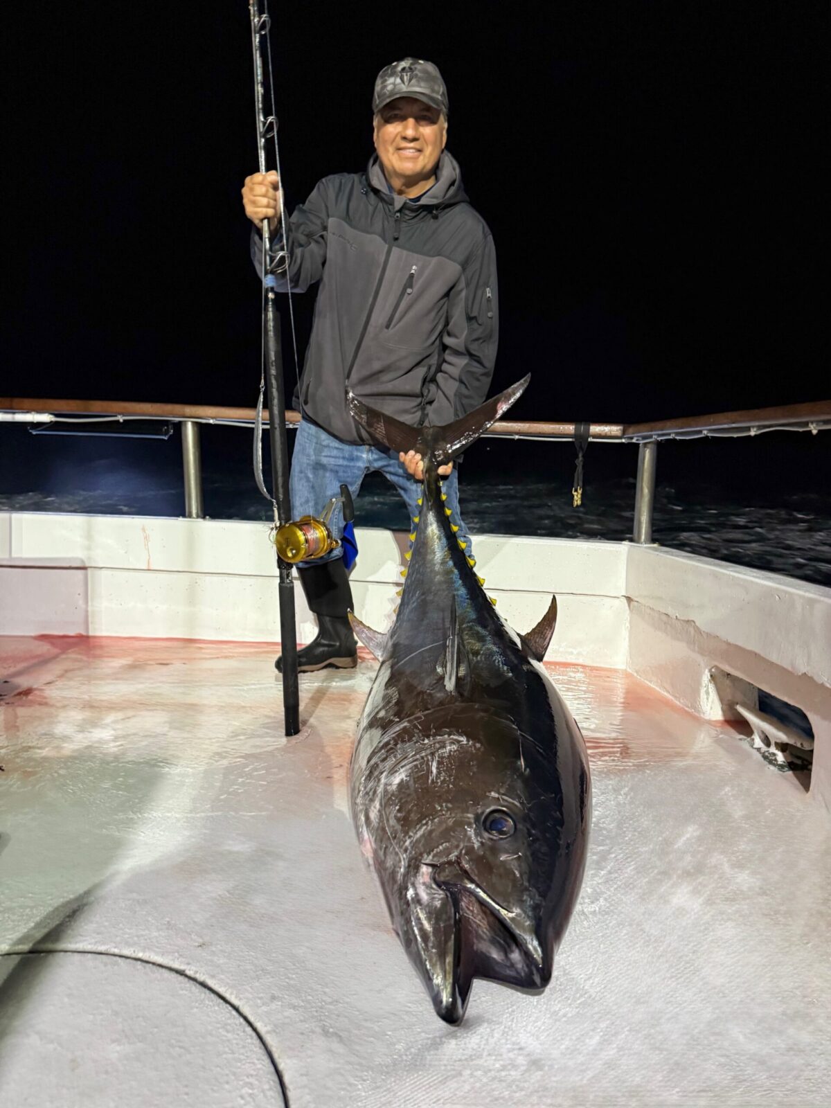 Bluefin Bluefin