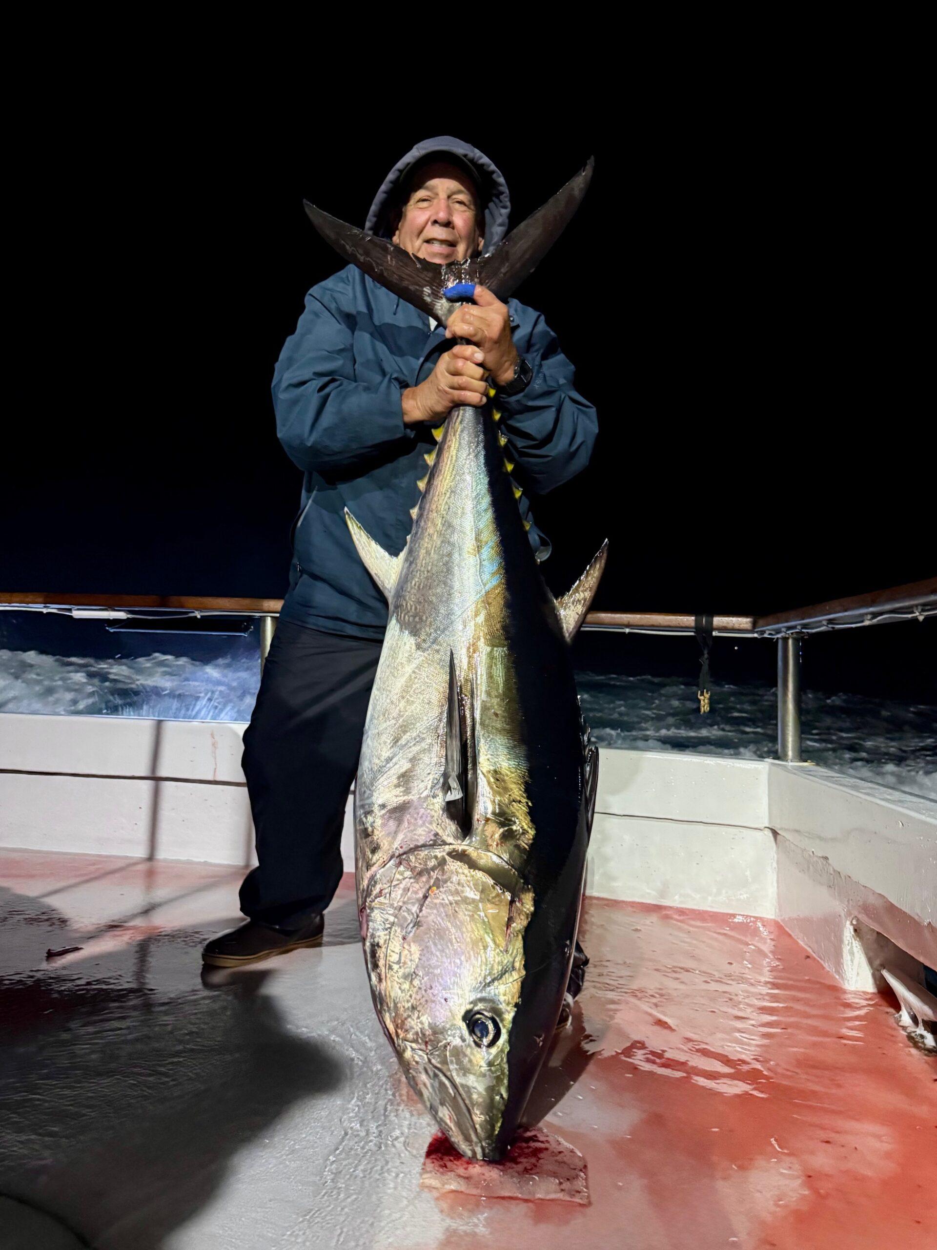 Bluefin Bluefin