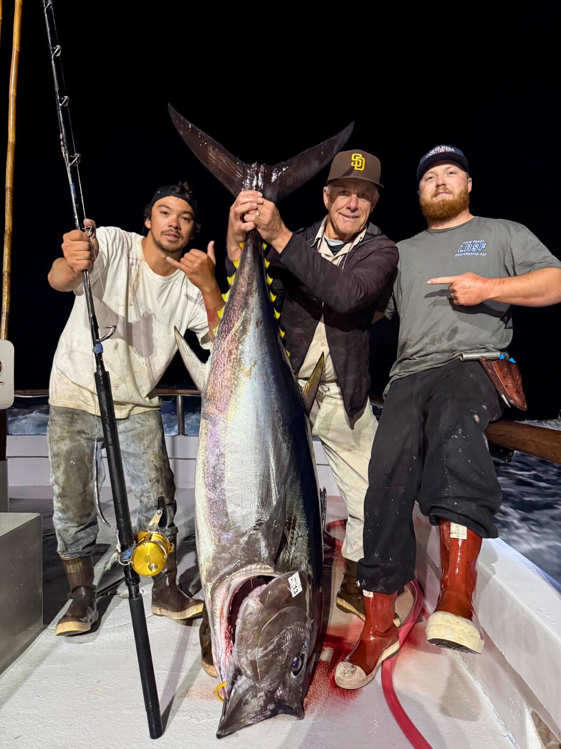 Bluefin Bluefin