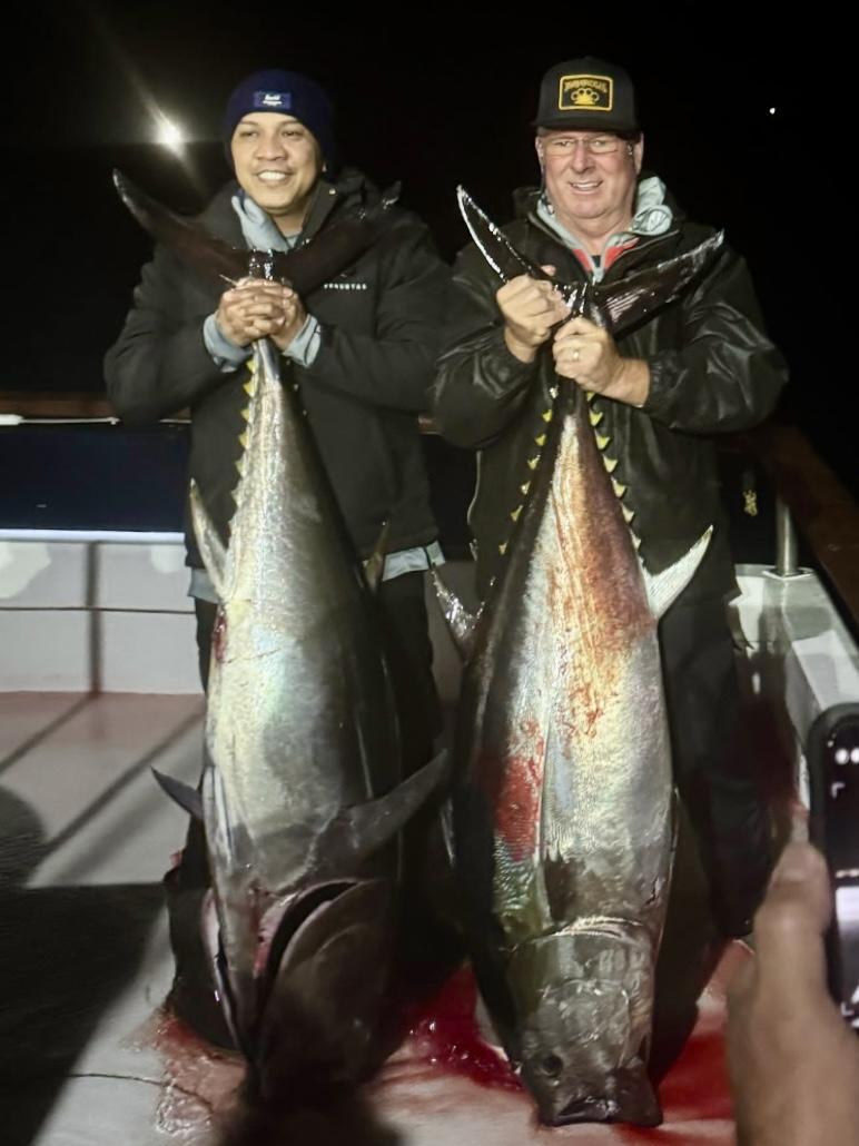 Bluefin Tunas