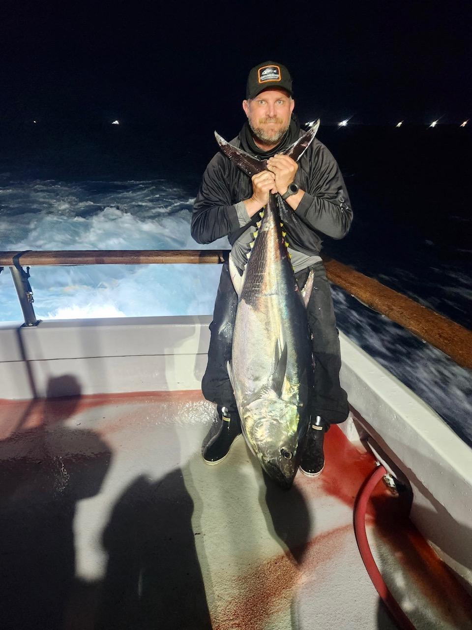 Bluefin night fishing