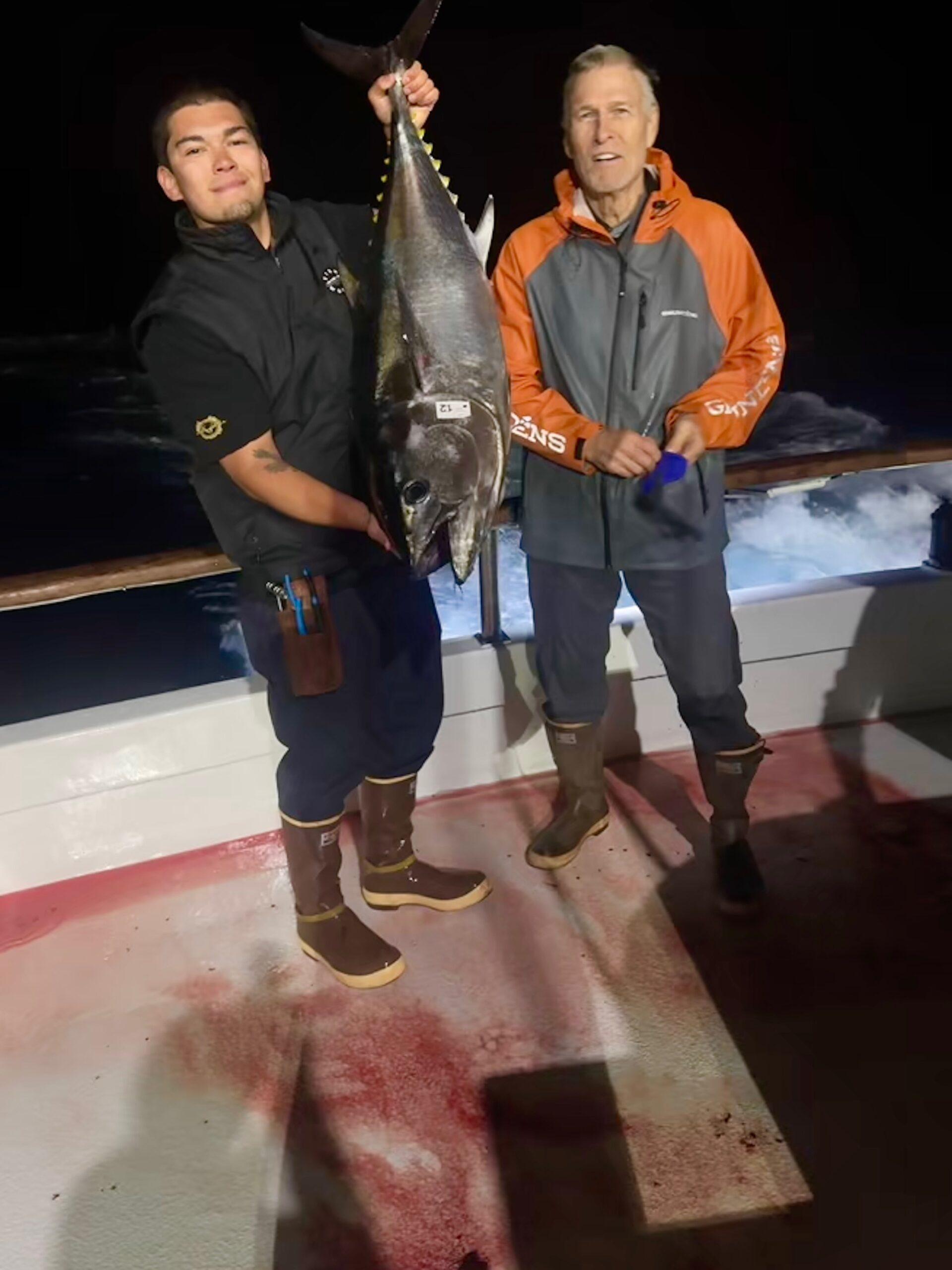 Night Fishing Bluefin Night Fishing Bluefin