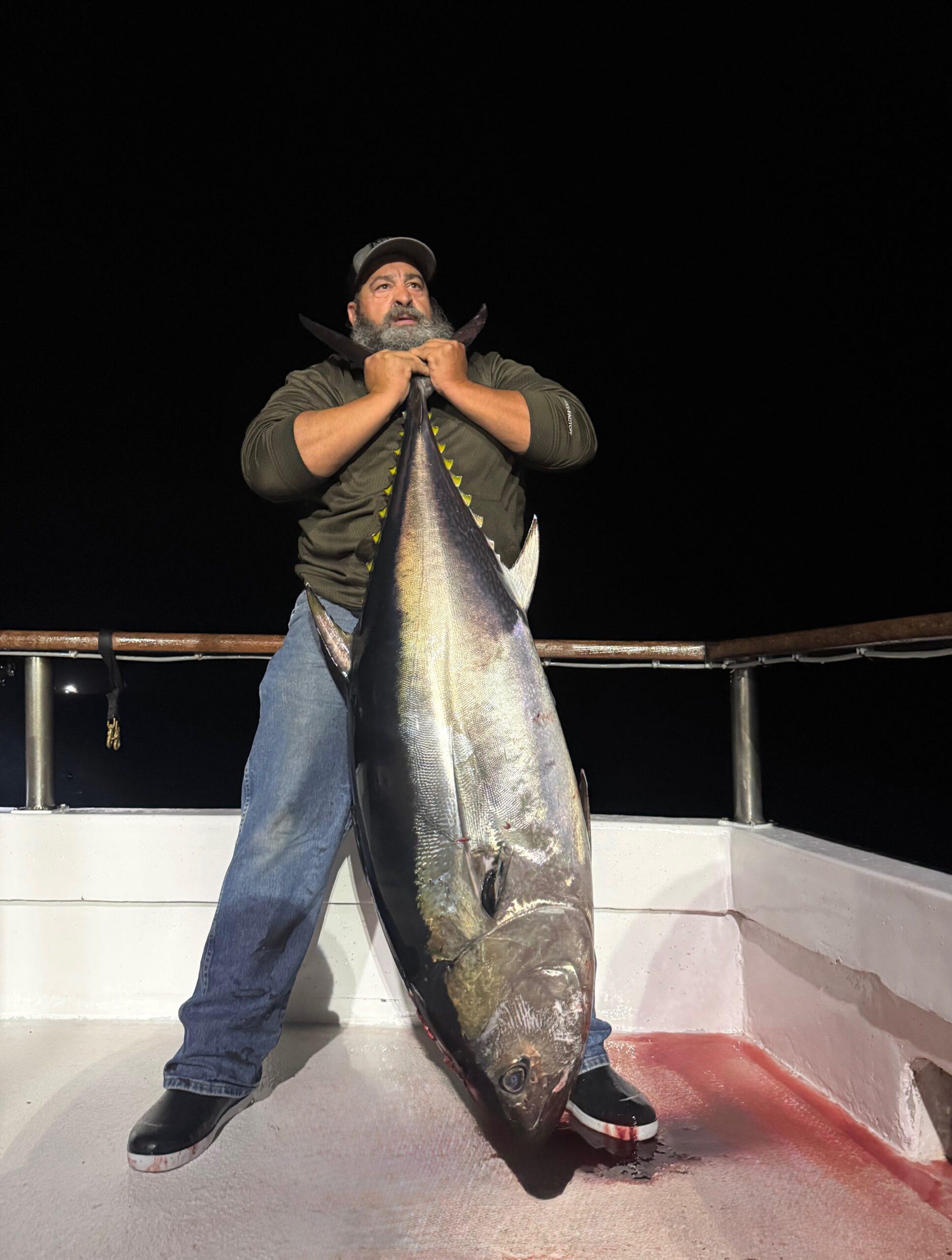 Large bluefin