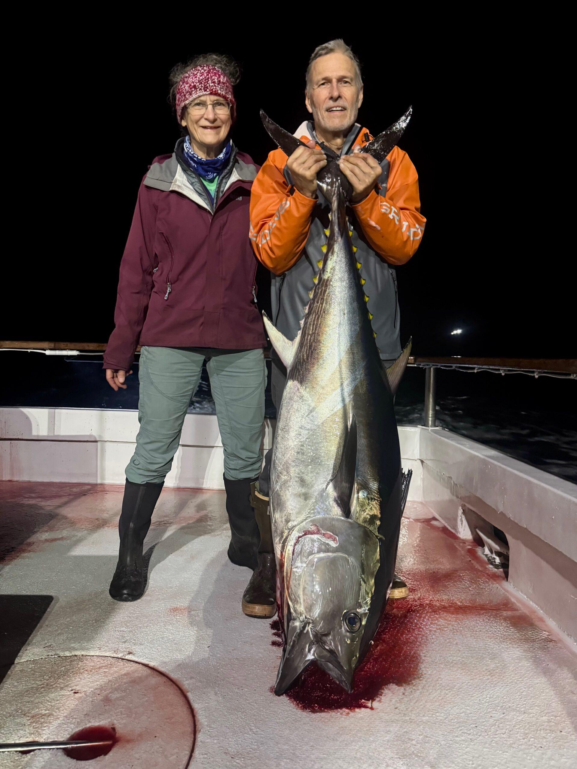 Night Fishing Bluefin