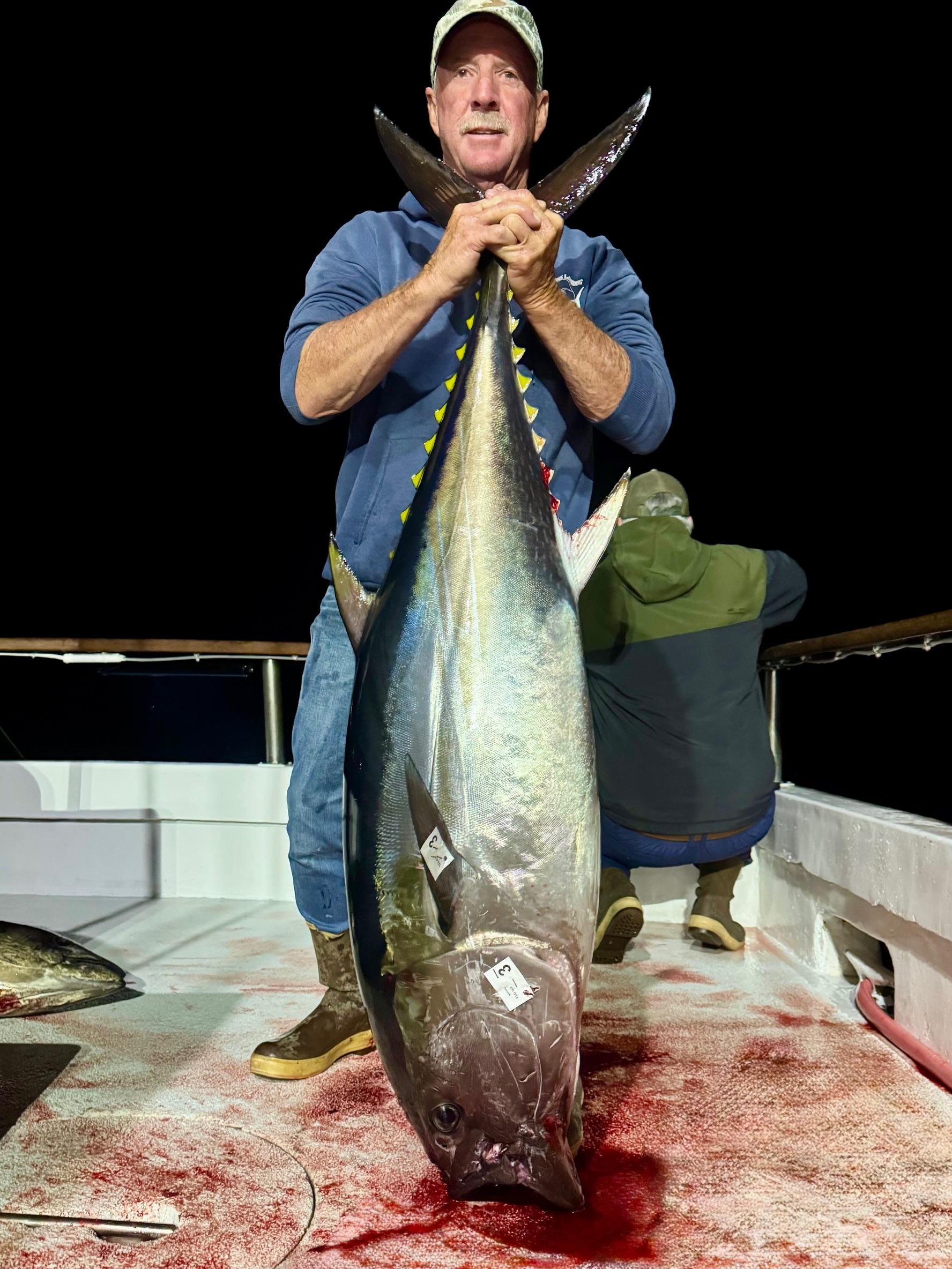 Night Fishing Bluefin Night Fishing Bluefin