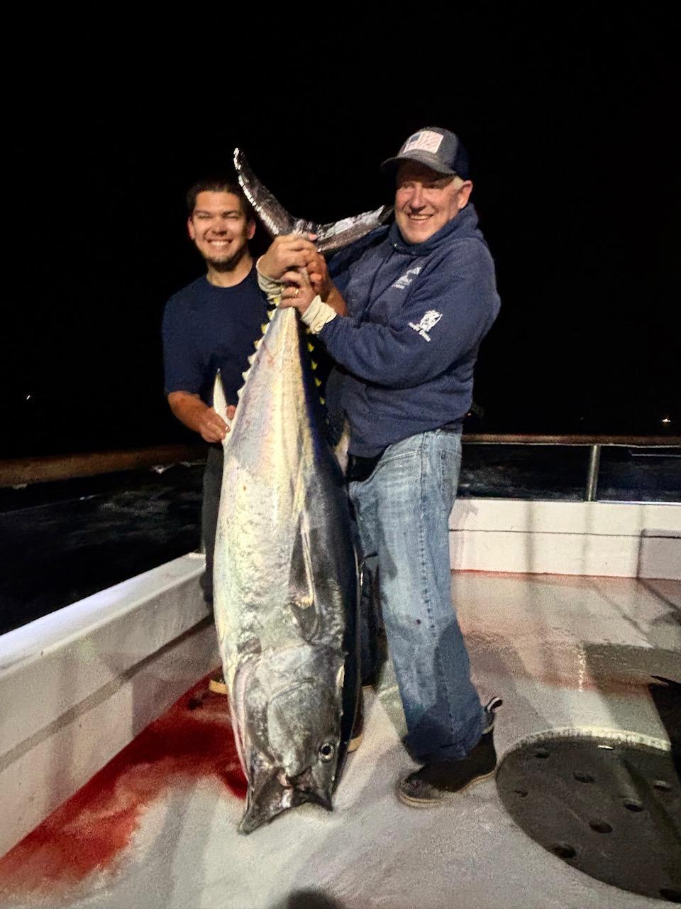 Night Fishing Bluefin Night Fishing Bluefin