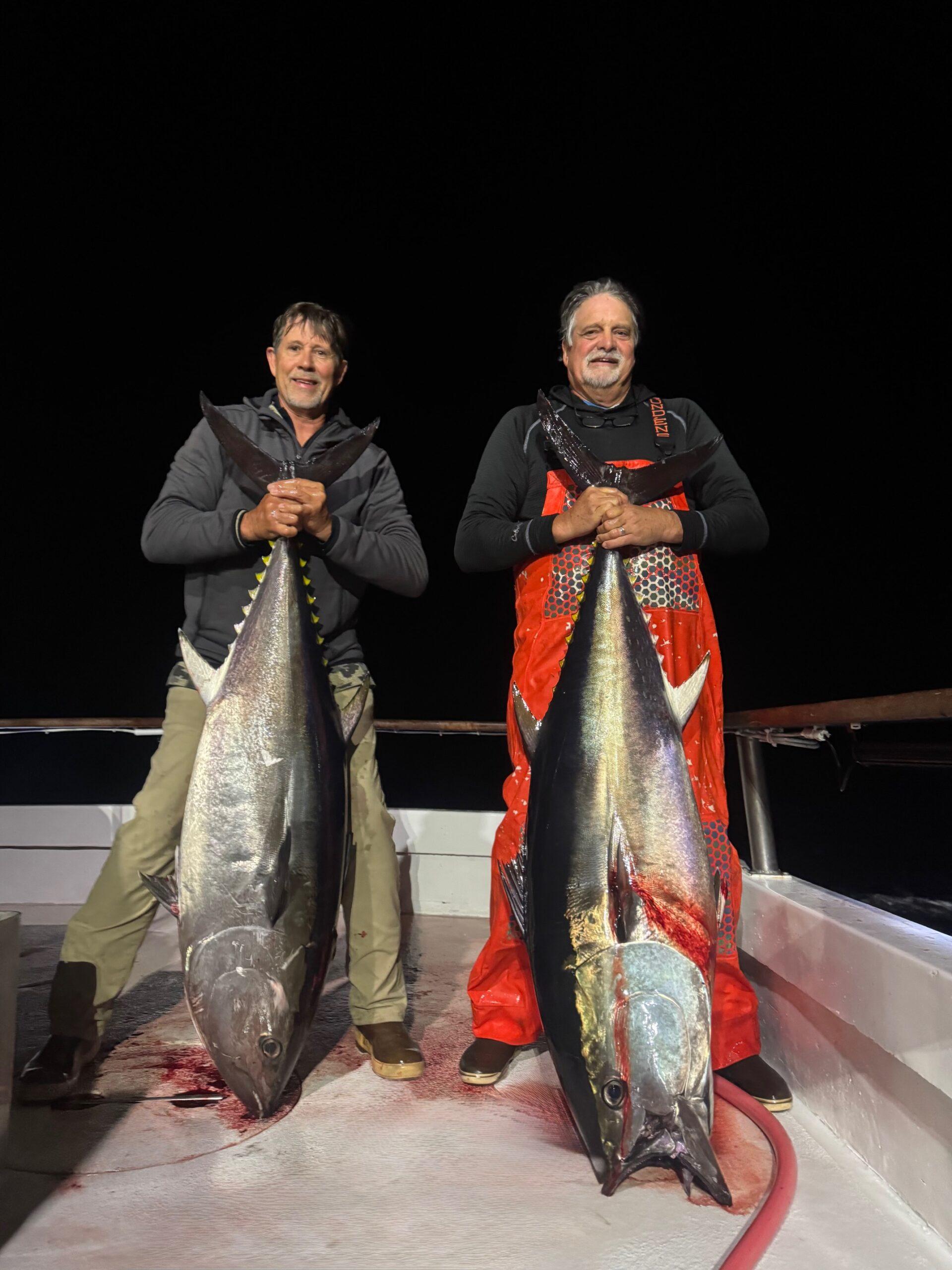 Two Bluefin Two Bluefin