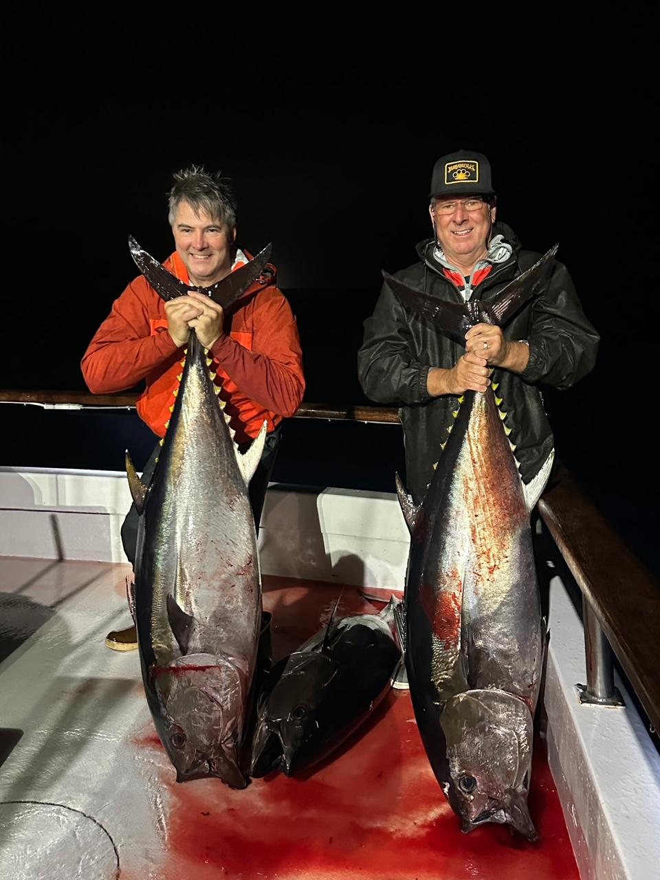 Two Bluefins