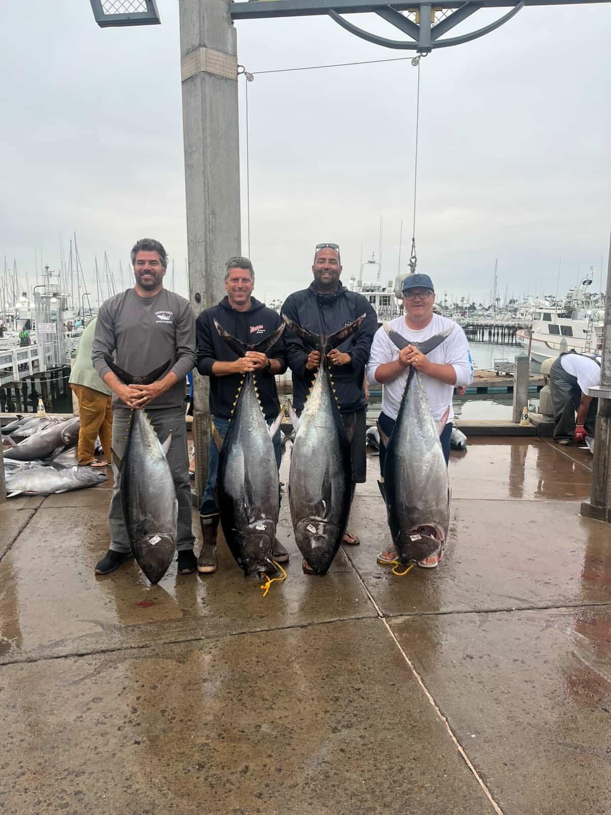 Bluefin Fishing