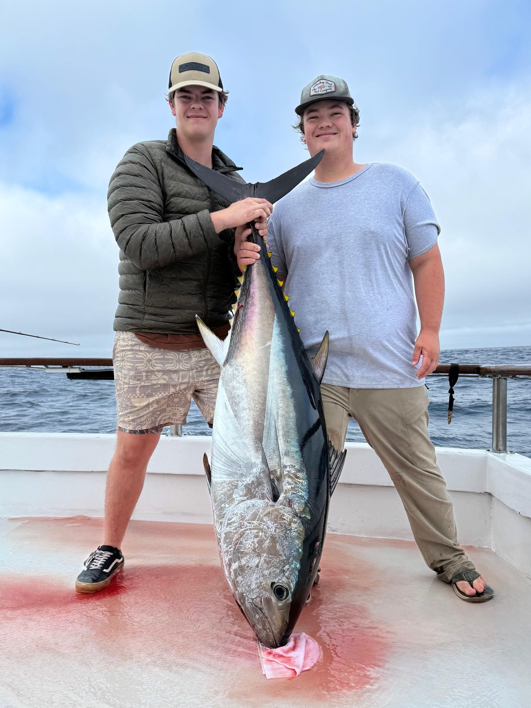 Bluefin Daytime Fishing Bluefin Daytime Fishing