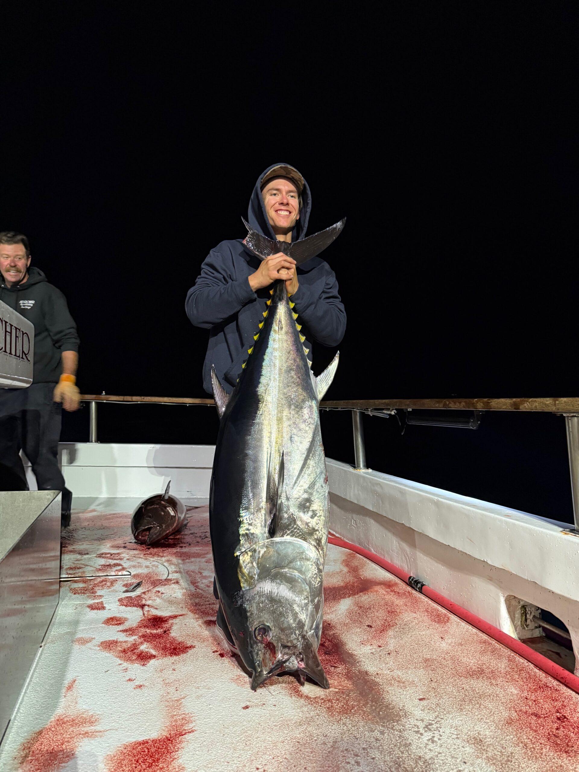 Bluefin night fishing Bluefin night fishing