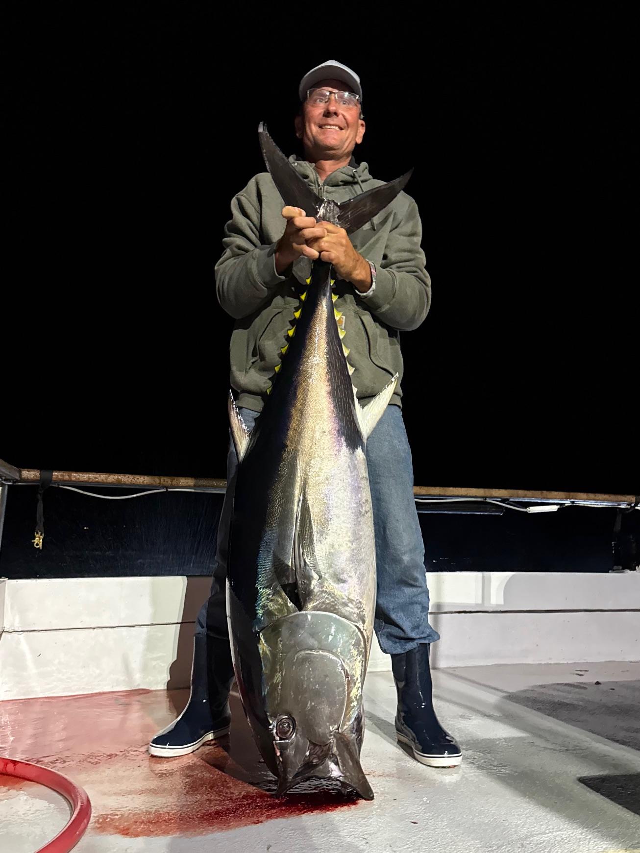 Bluefin night fishing Bluefin night fishing