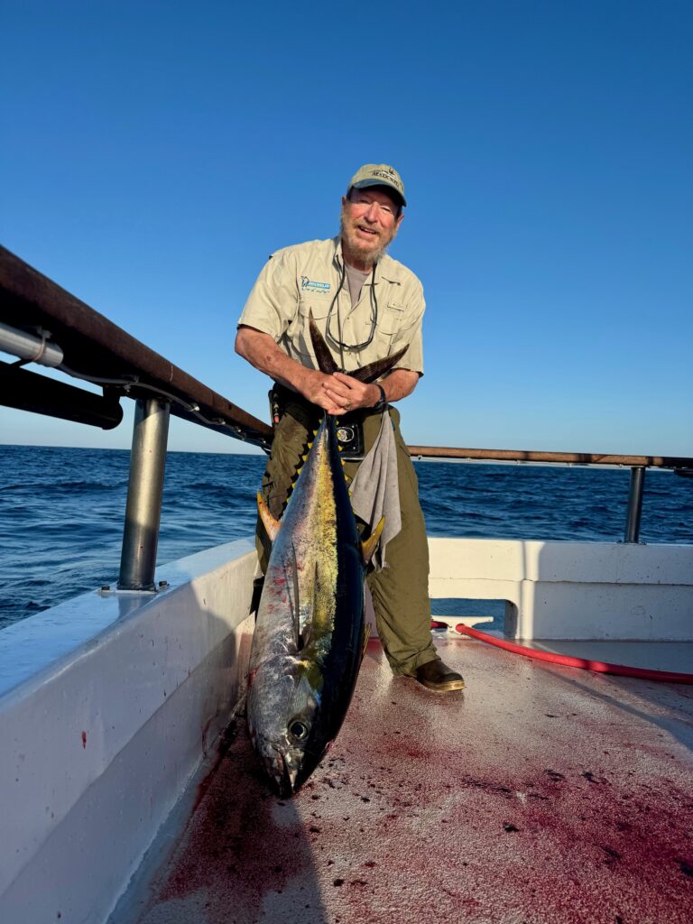 Bluefin