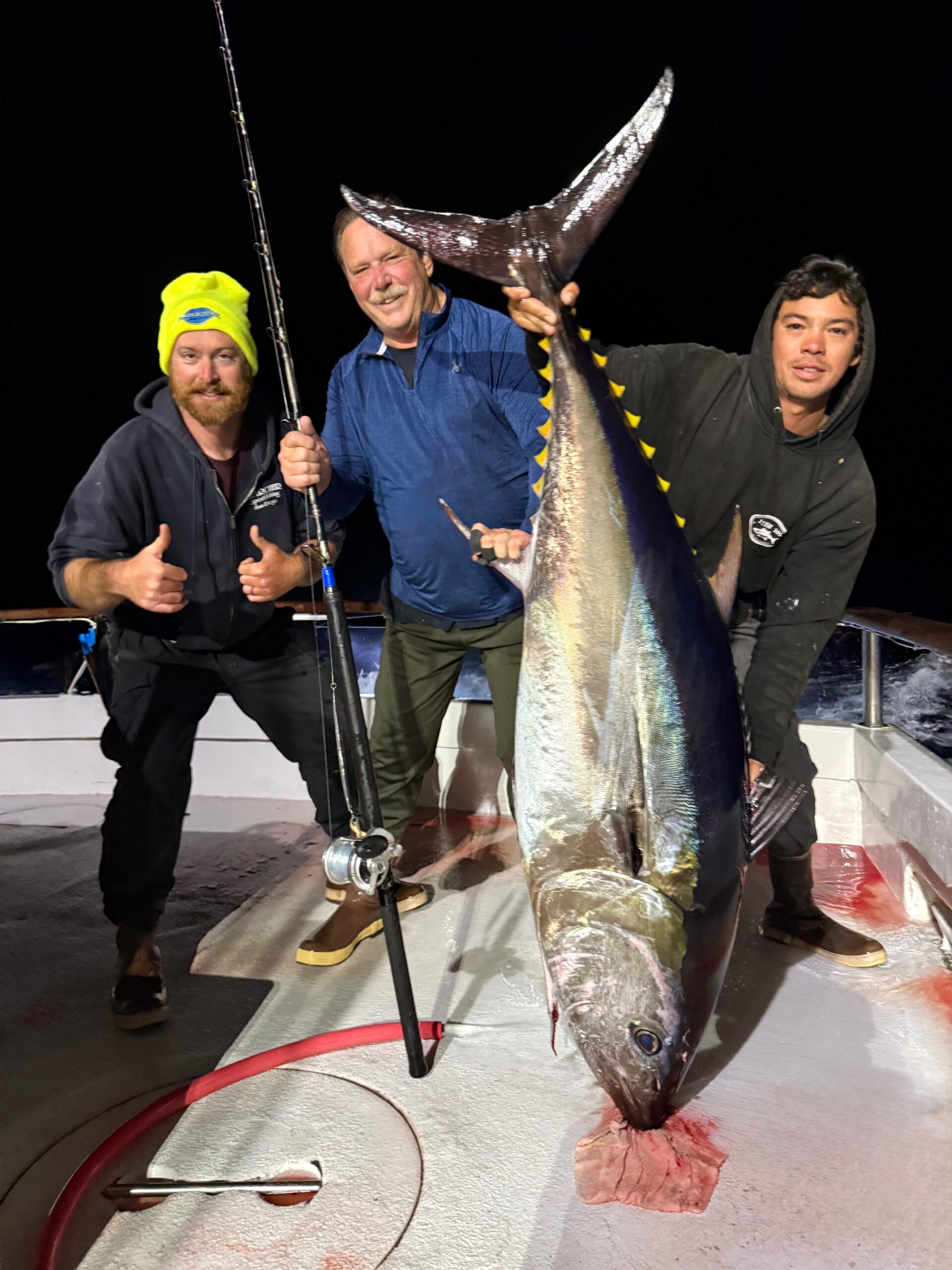 Bluefin Fishing