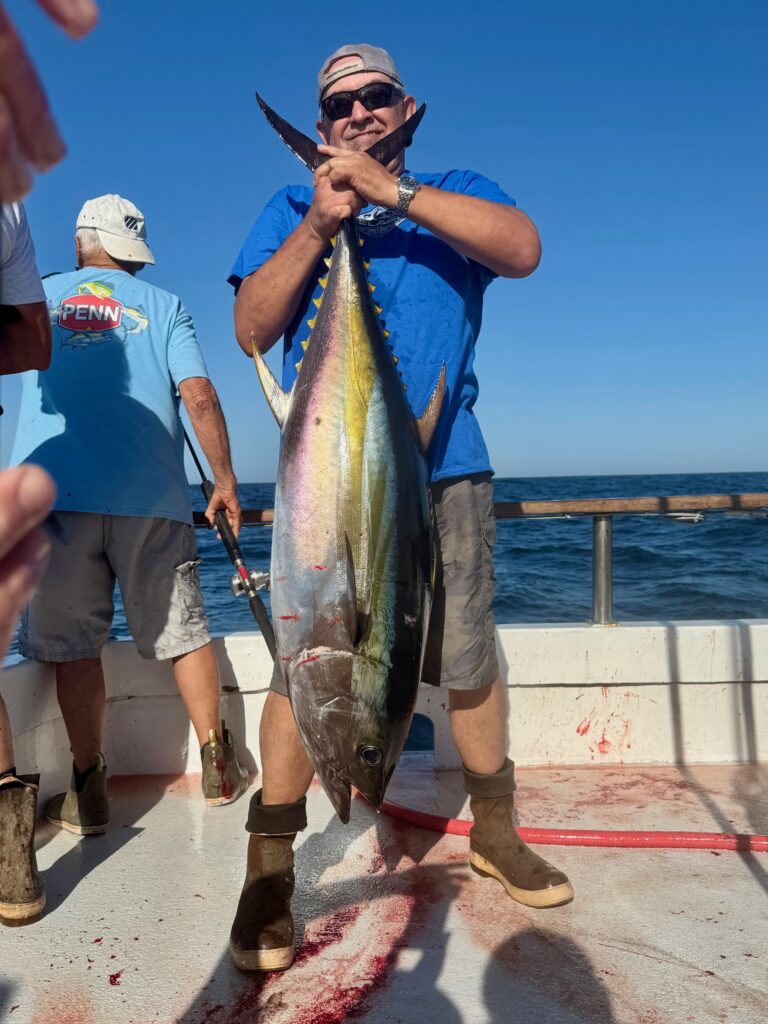 Bluefin
