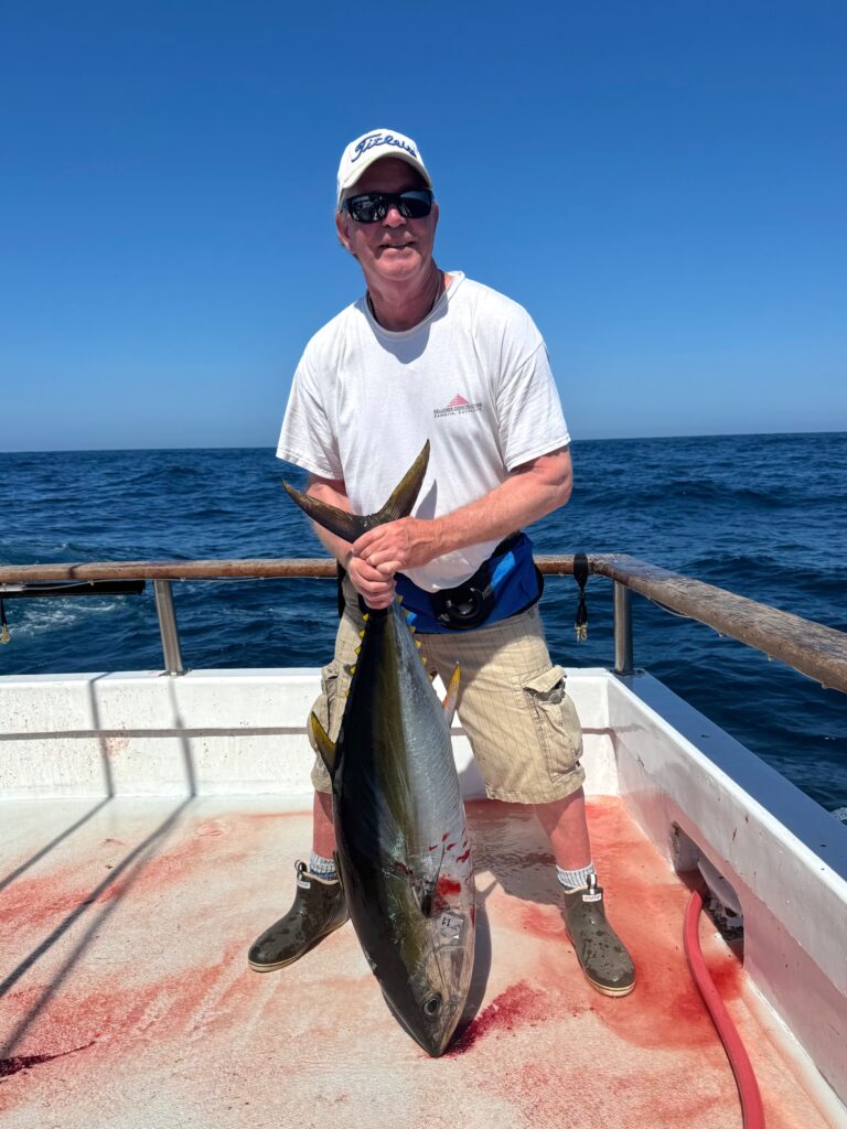Bluefin