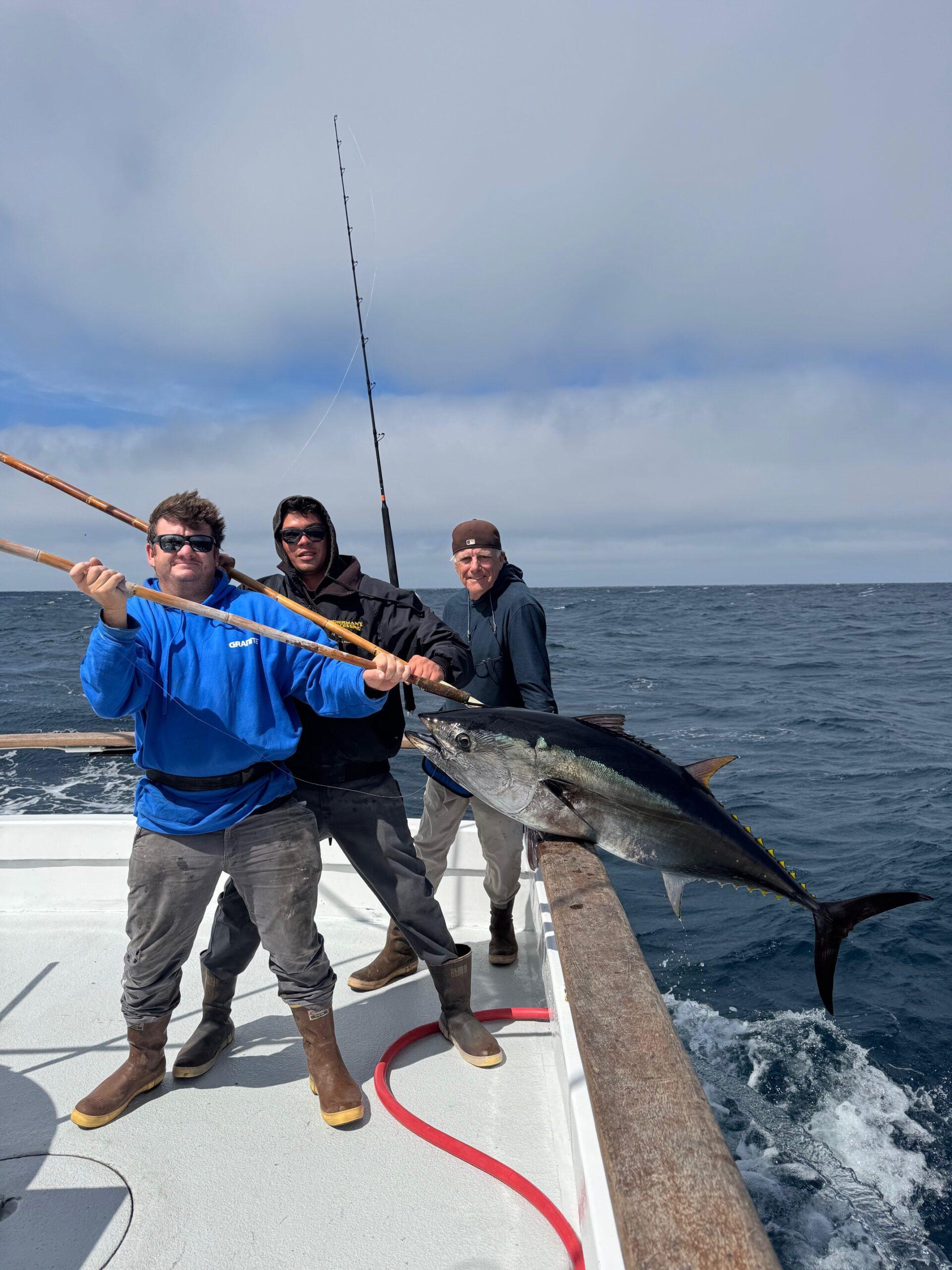 Bluefin Daytime Fishing Bluefin Daytime Fishing