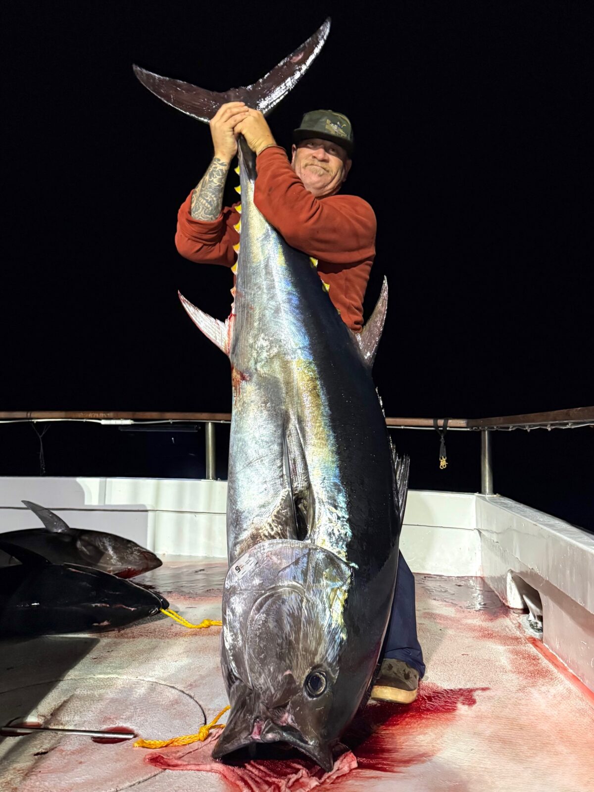 Bluefin Fishing