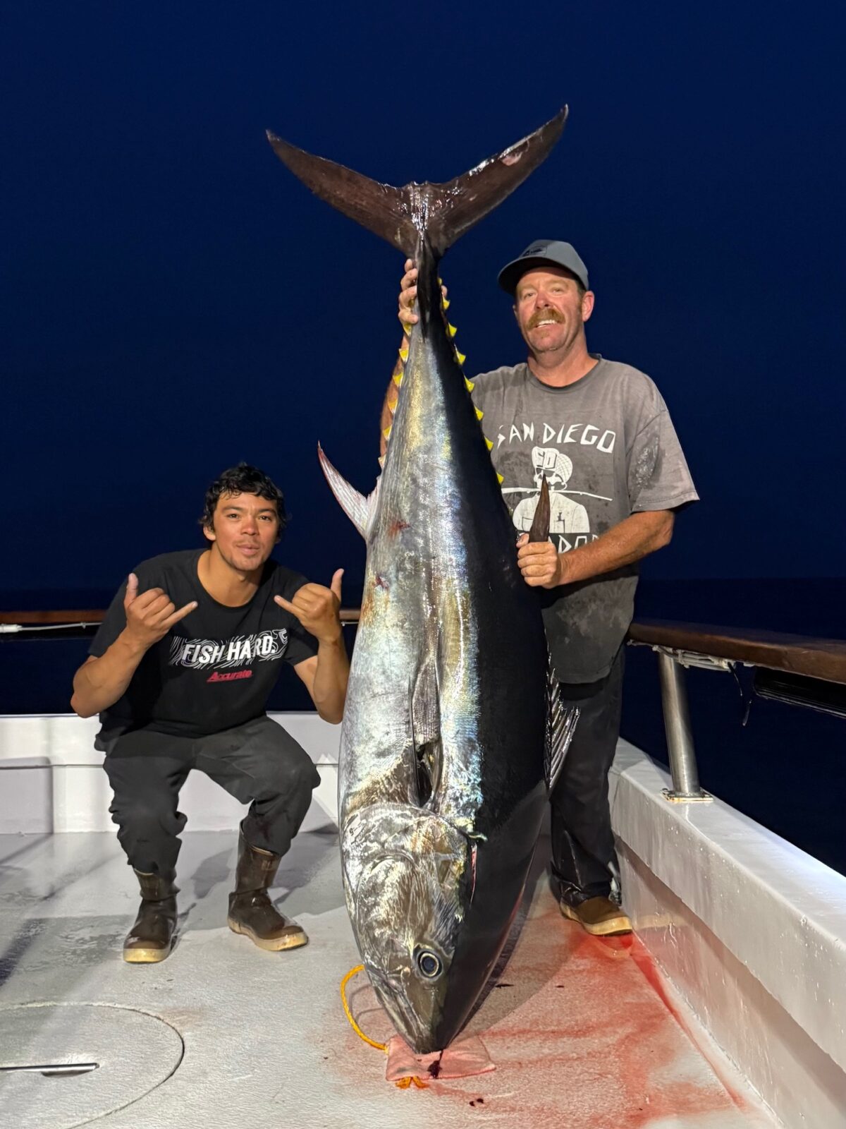 Bluefin Fishing