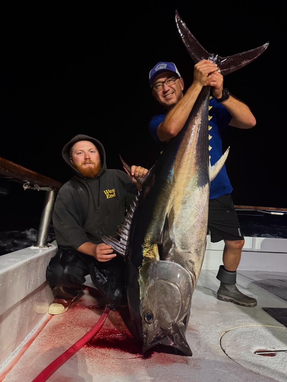 Bluefin night fishing Bluefin night fishing