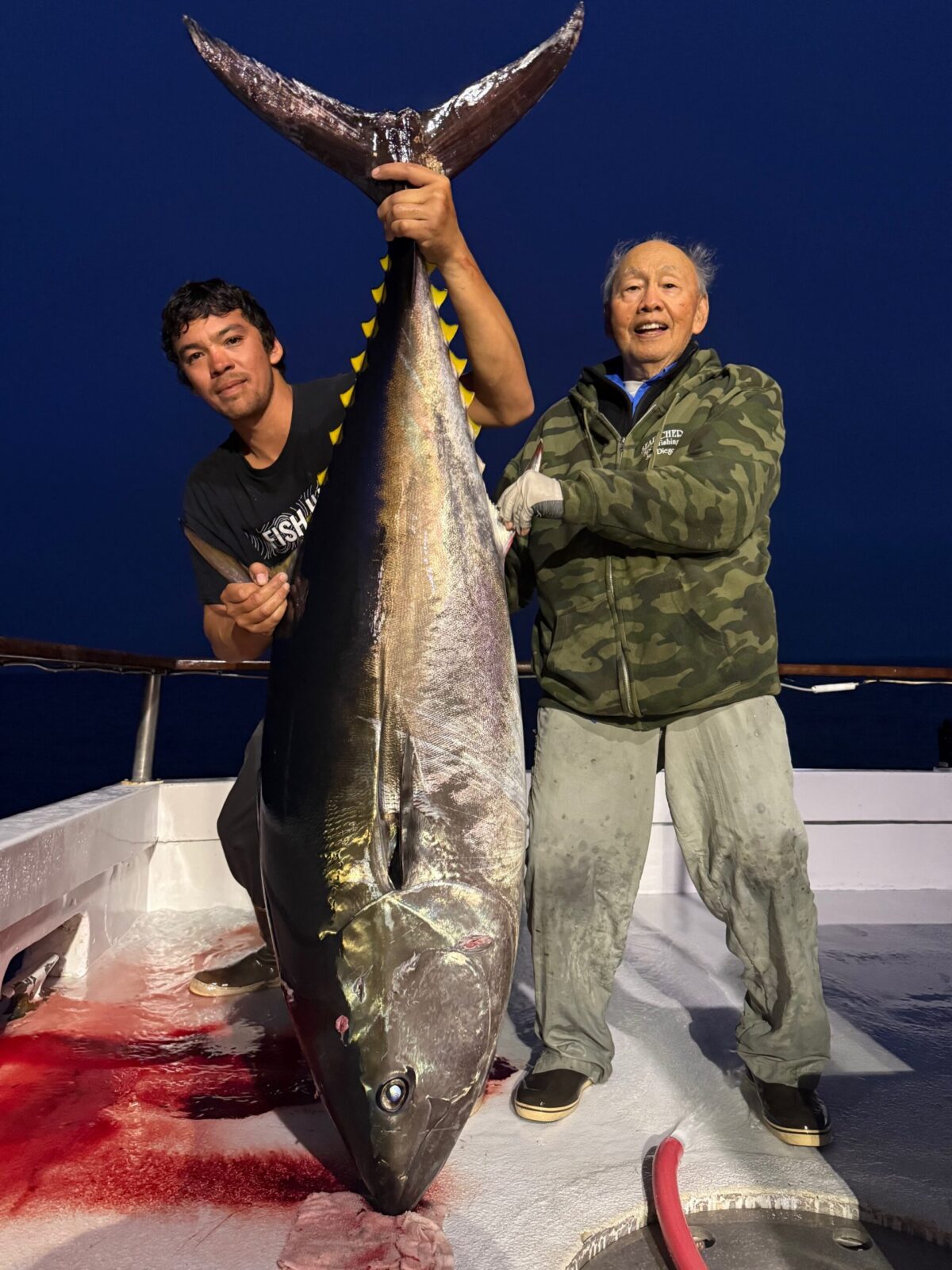 Bluefin Fishing